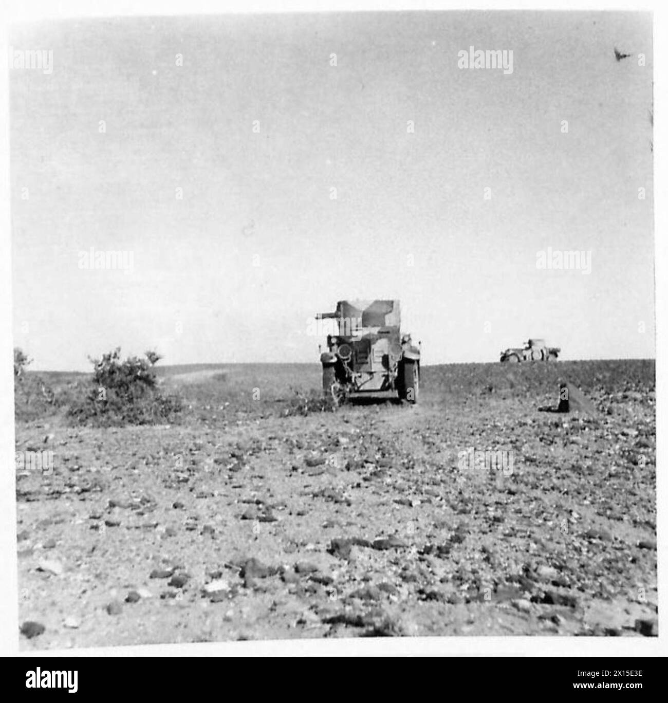 Le auto blindate della Sudan Defence Force attraversano terreni aperti durante le operazioni dell'esercito britannico, dimostrando mobilità e capacità meccanizzate. Foto Stock