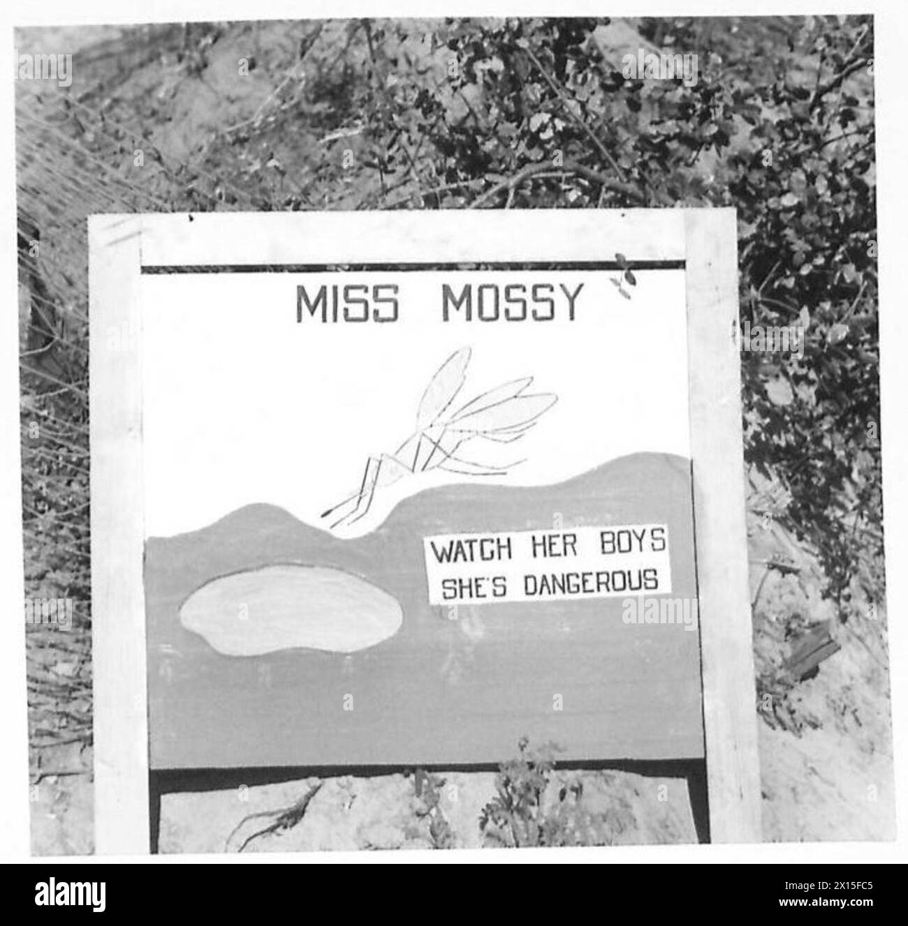 A testa di ponte di Anzio, il personale della Quinta Armata incontra segnali di allarme sulla malaria, mantenendo la consapevolezza dei rischi per la salute derivanti dalle zanzare. Foto Stock