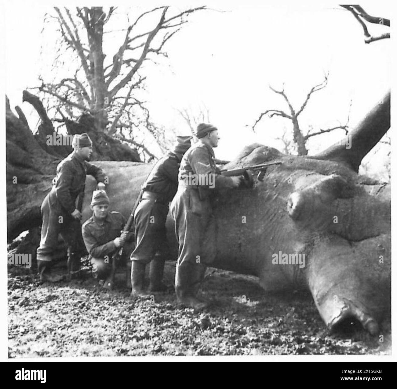 Una pattuglia di ricognizione dimostra tecniche di copertura dietro un albero caduto mentre viene osservata da corrispondenti di guerra nell'Eastern Command. Foto Stock