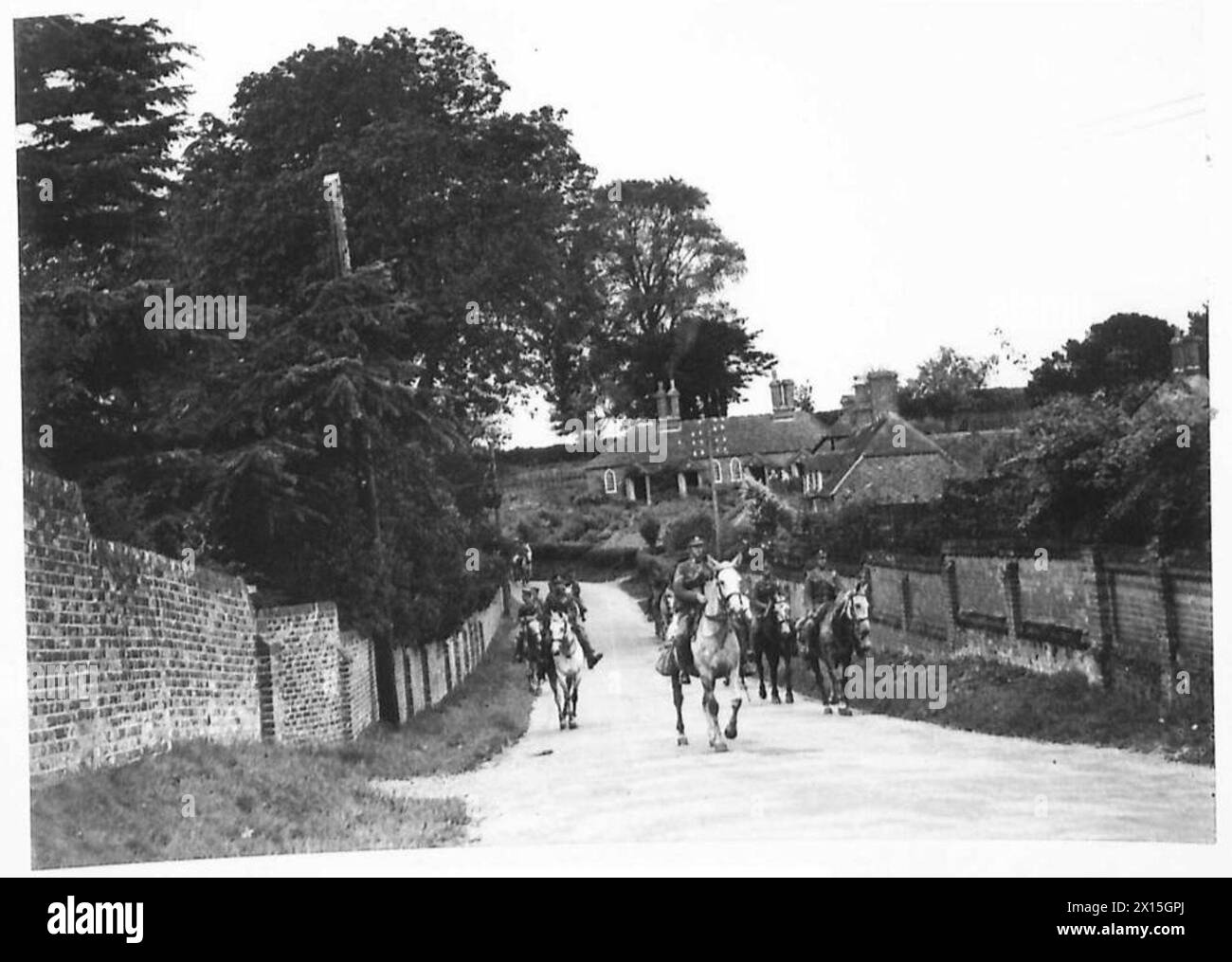 I Grays, un'unità dell'esercito britannico, conducono manovre sul campo come parte di esercitazioni militari. Foto Stock