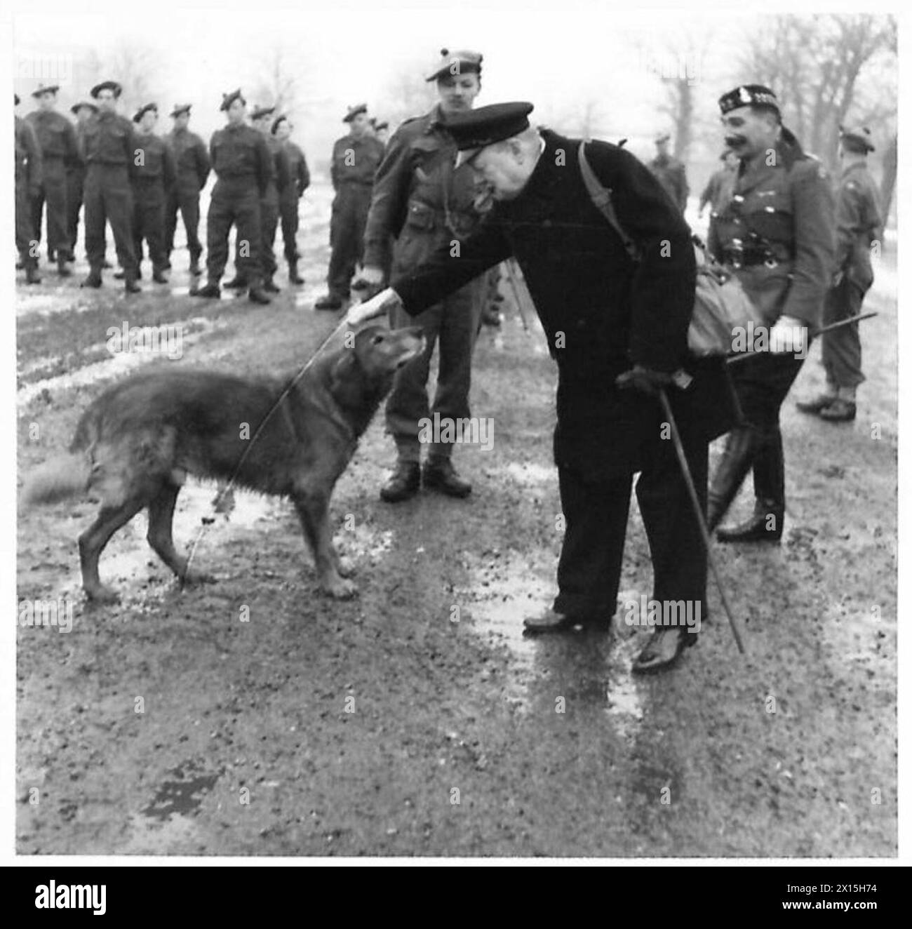 Il primo ministro Winston Churchill visitò il suo vecchio battaglione e interagì con "Sandy", la mascotte del battaglione, durante una parata nell'esercito britannico. Foto Stock