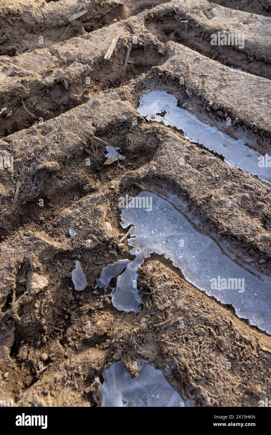 un tracciato profondo di un'auto pesante in un campo, un campo arato con terreno ghiacciato e tracce di macchinari agricoli Foto Stock