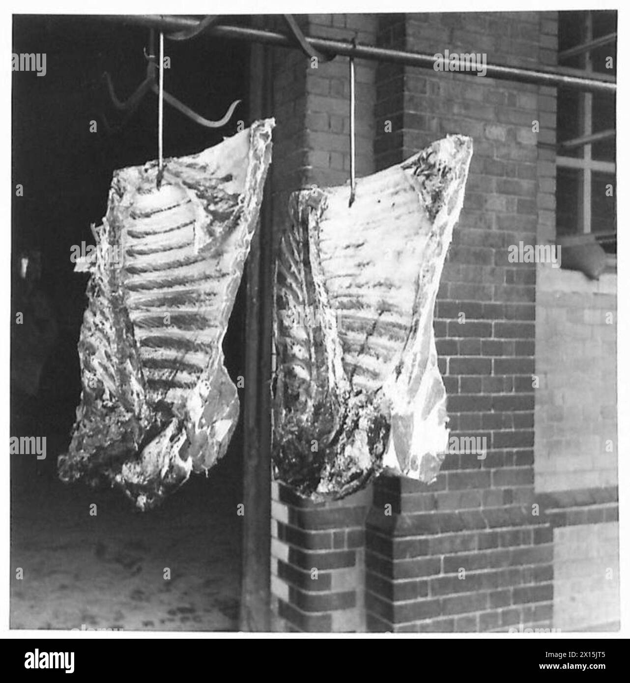 Le fotografie di un manuale di ristorazione illustrano diversi tipi di carne di manzo, mostrando chiaramente qualità migliore e inferiore per scopi didattici nell'esercito britannico. Foto Stock