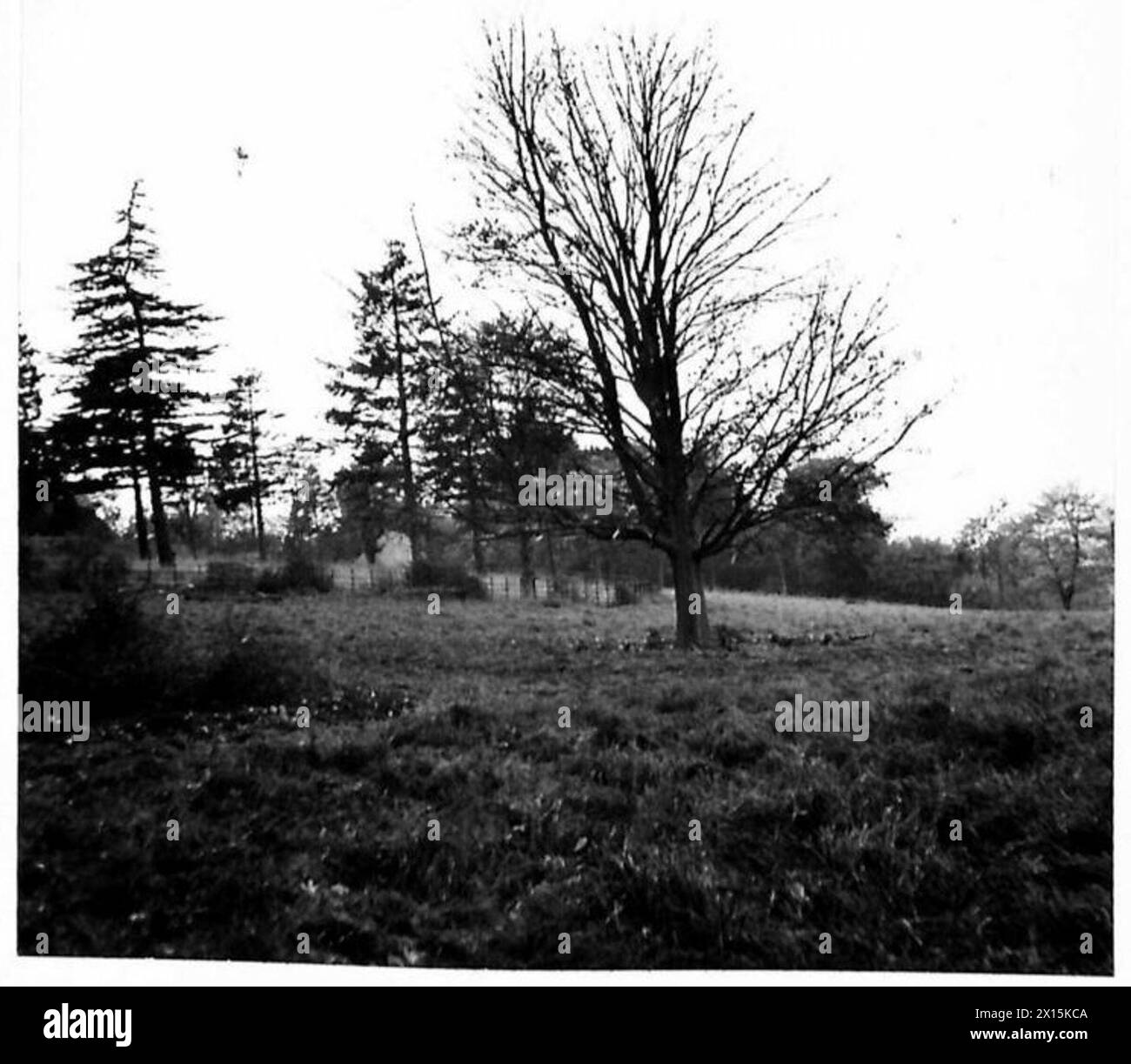 Il capitano G.V. Myer del London District supervisiona le operazioni di camuffamento vicino a Kenley, coordinate dal GSO III a Leconfield House. Foto Stock