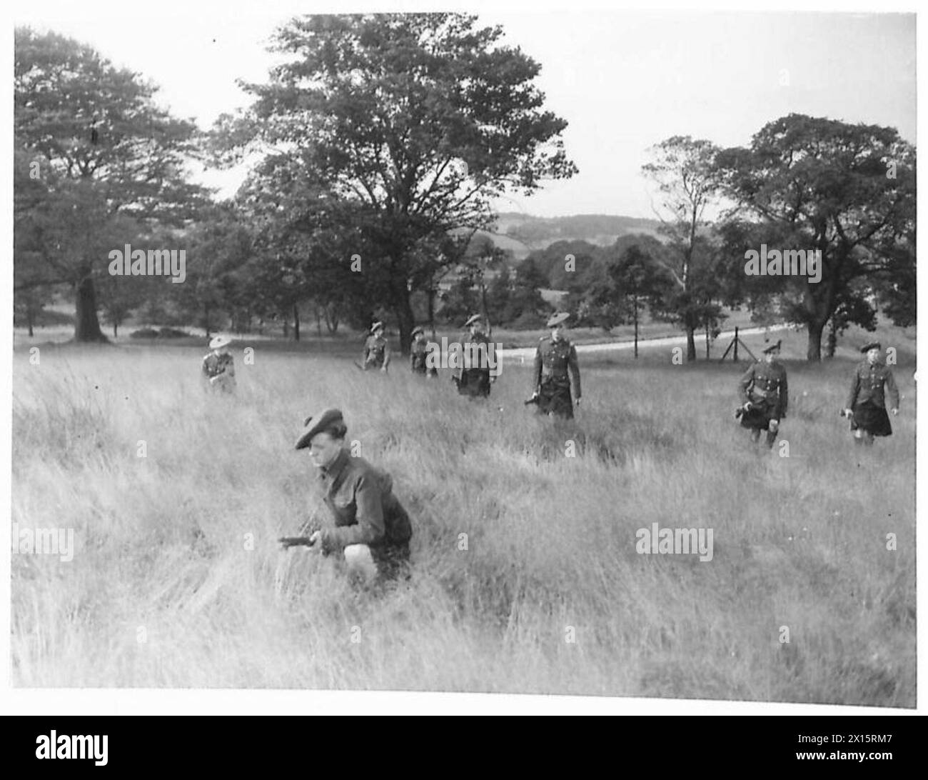 I cadetti scozzesi di Liverpool avanzano attraverso l'erba lunga durante gli esercizi di addestramento, British Army. Foto Stock I cadetti scozzesi di Liverpool avanzano attraverso l'erba lunga durante gli esercizi di addestramento, British Army. Foto Stock