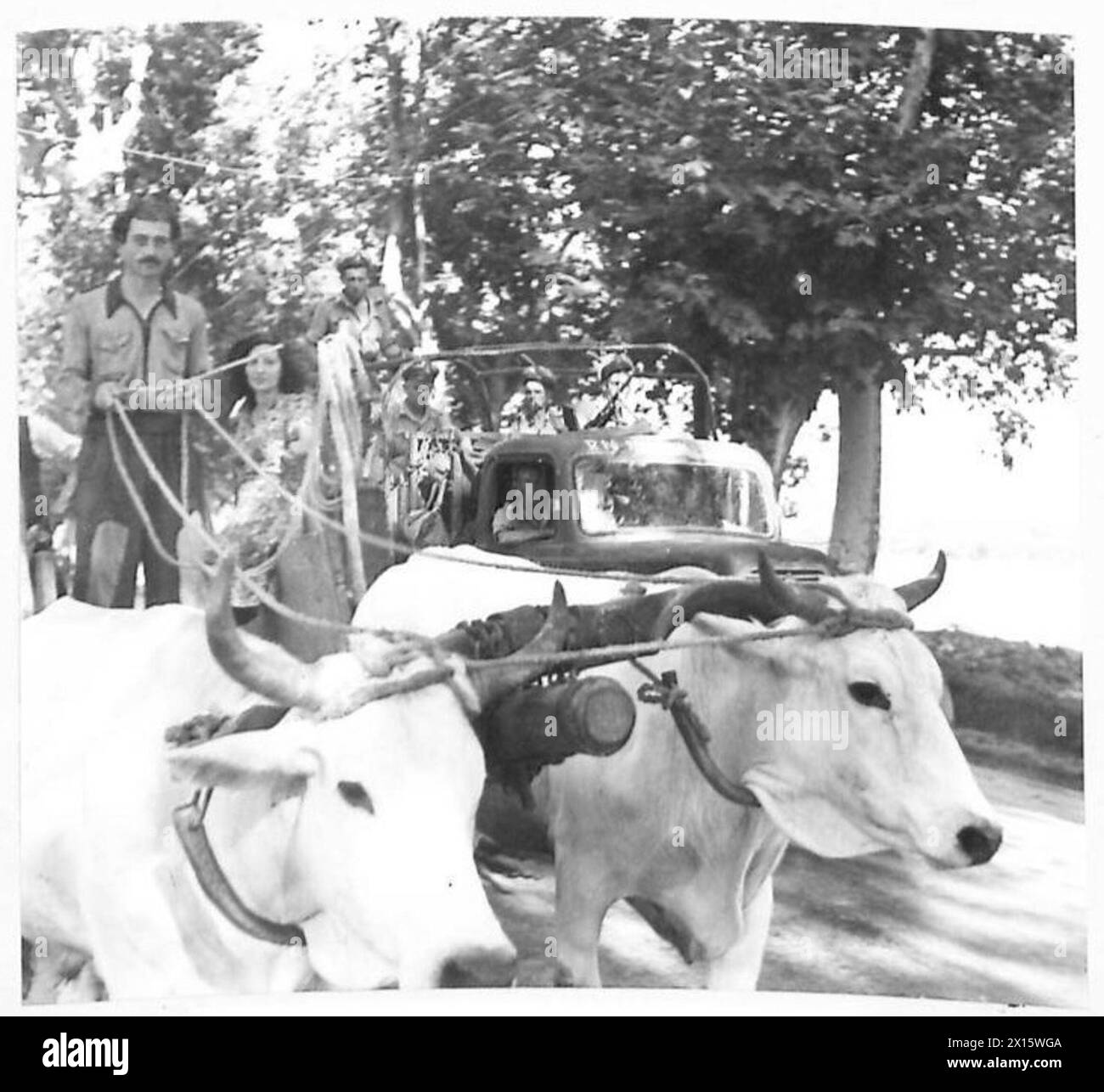 I civili in Italia viaggiano in carretto buoi lungo una corsia di campagna mentre evacuano le case durante le operazioni dell'esercito britannico in Nord Africa, Sicilia, Italia, Balcani e Austria, 1942-1946 Foto Stock I civili in Italia viaggiano in carretto buoi lungo una corsia di campagna mentre evacuano le case durante le operazioni dell'esercito britannico in Nord Africa, Sicilia, Italia, Balcani e Austria, 1942-1946 Foto Stock