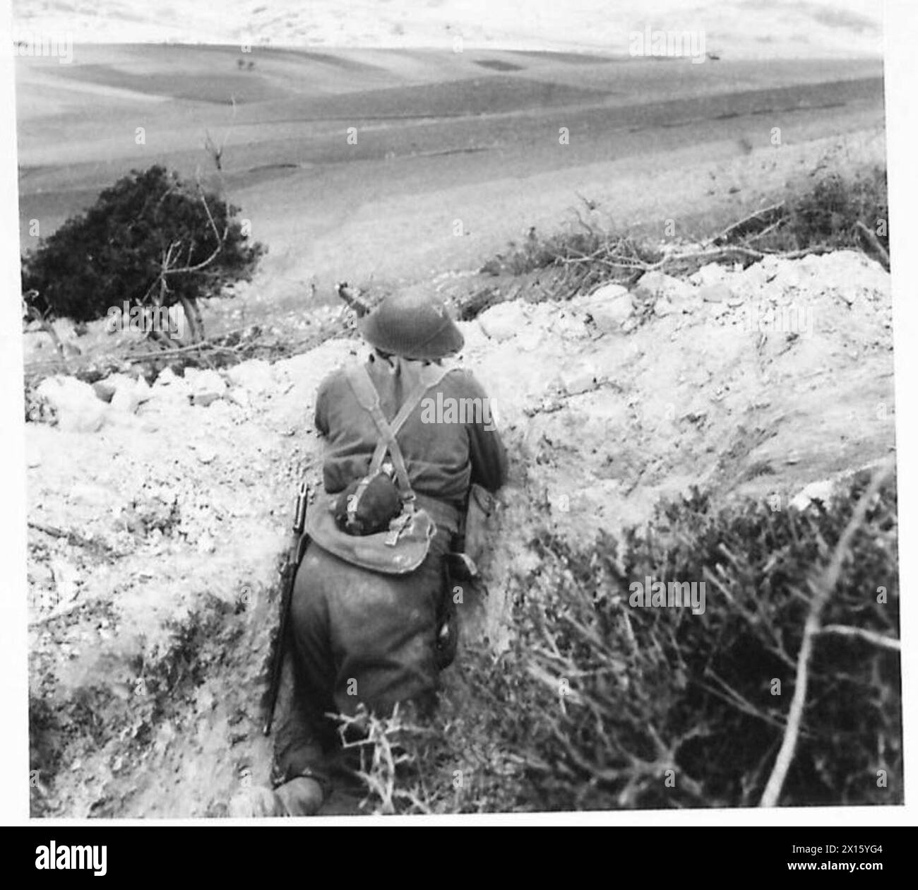 Durante la campagna di Tunisia, dal novembre 1942 al maggio 1943, un cecchino britannico mantenne una posizione collinare vicino a Mateur, mentre la prima Armata affrontò la resistenza e i rinforzi nemici; le forze alleate avanzarono nonostante il maltempo. Foto Stock