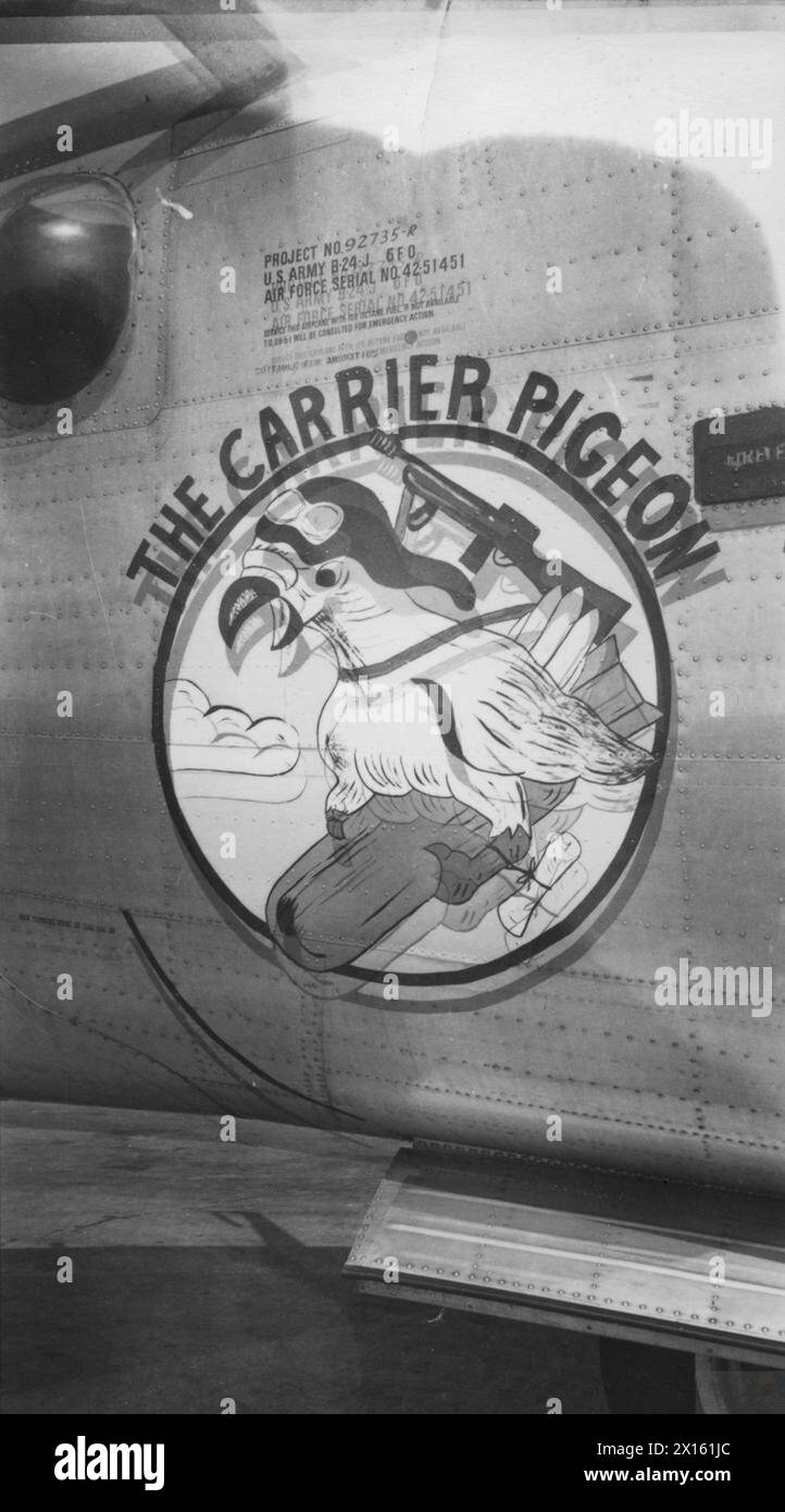 Viene esposta l'immagine del naso del B-24 Liberator numero di serie 42-51451, soprannominato "il piccione portante", del 389th Bomb Group in Gran Bretagna durante la seconda guerra mondiale. Foto Stock Viene esposta l'immagine del naso del B-24 Liberator numero di serie 42-51451, soprannominato "il piccione portante", del 389th Bomb Group in Gran Bretagna durante la seconda guerra mondiale. Foto Stock