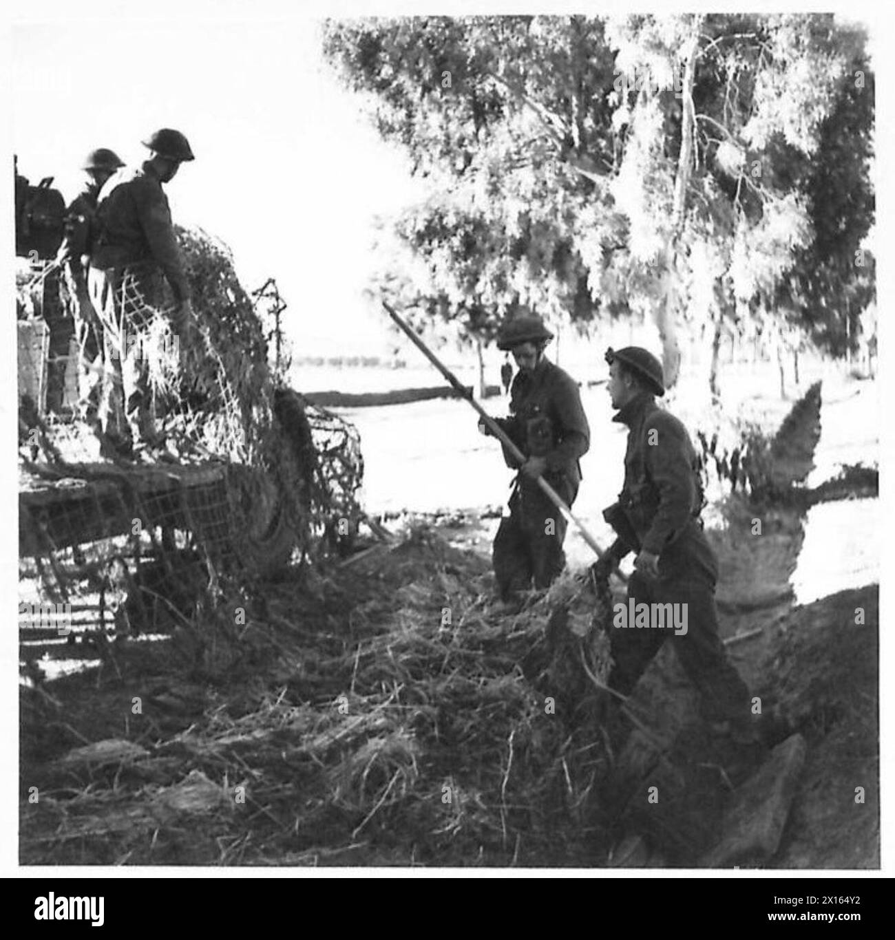 CAMPAGNA IN TUNISIA, NOVEMBRE 1942-MAGGIO 1943 - cannoni britannici che preparano una rete mimetica per il loro cannone antiaereo da 3 pollici vicino a Medjez el Bab, 17 dicembre 1942. Quando i tedeschi evacuarono la città di Medjez el Bab demolirono il centro del ponte sul fiume e crearono anche un guado a circa cento metri a monte. I Royal Engineers ripararono rapidamente il ponte e si misero al lavoro riempiendo la ford craterizzata in modo che il traffico potesse essere deviato sopra di esso se il ponte subisse ulteriori danni. Attacchi ripetuti furono fatti dai bombardieri in picchiata nemici e dal fuoco di artiglieria per distruggere il ponte Foto Stock