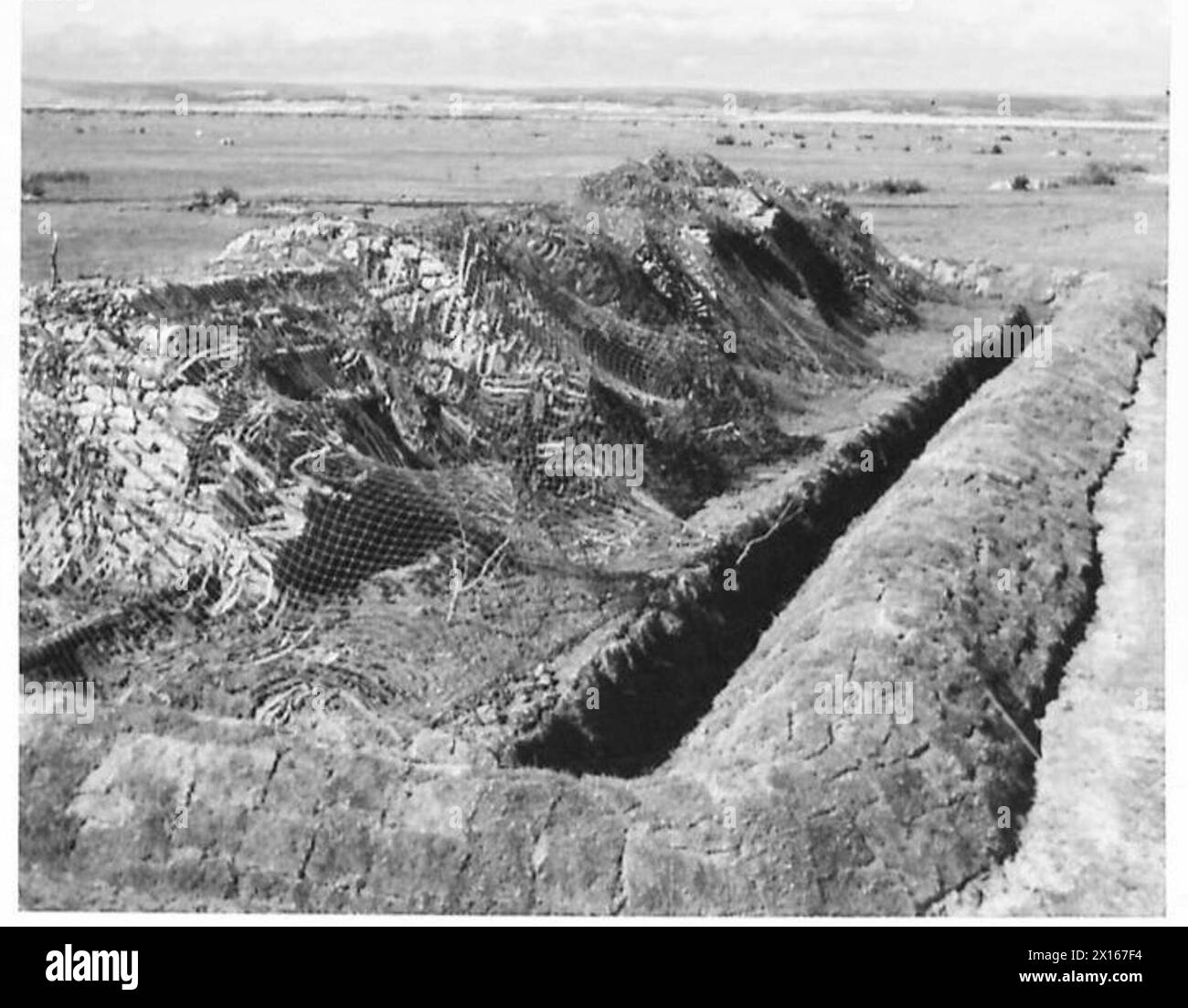 Le unità dell'esercito britannico conducono l'esercitazione Punch, impegnandosi in manovre coordinate, esercitazioni tattiche e addestramento operativo pronto. Foto Stock