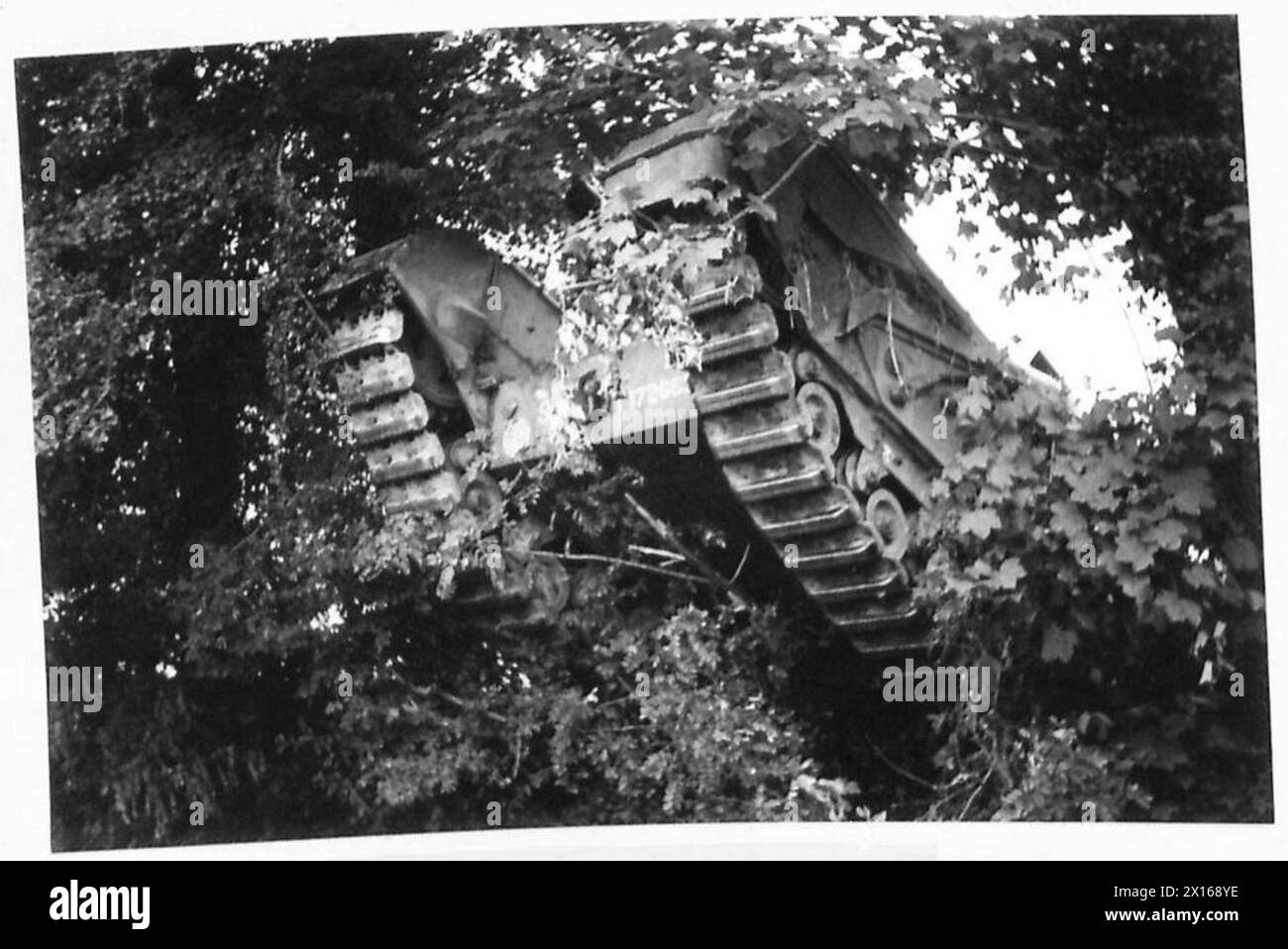 Un carro armato Churchill attraversa una banca durante un attacco britannico tra Tilly e Caen, in Normandia, illustrando la campagna alleata nell'Europa nord-occidentale dal 6 giugno 1944 al 7 maggio 1945. Foto Stock