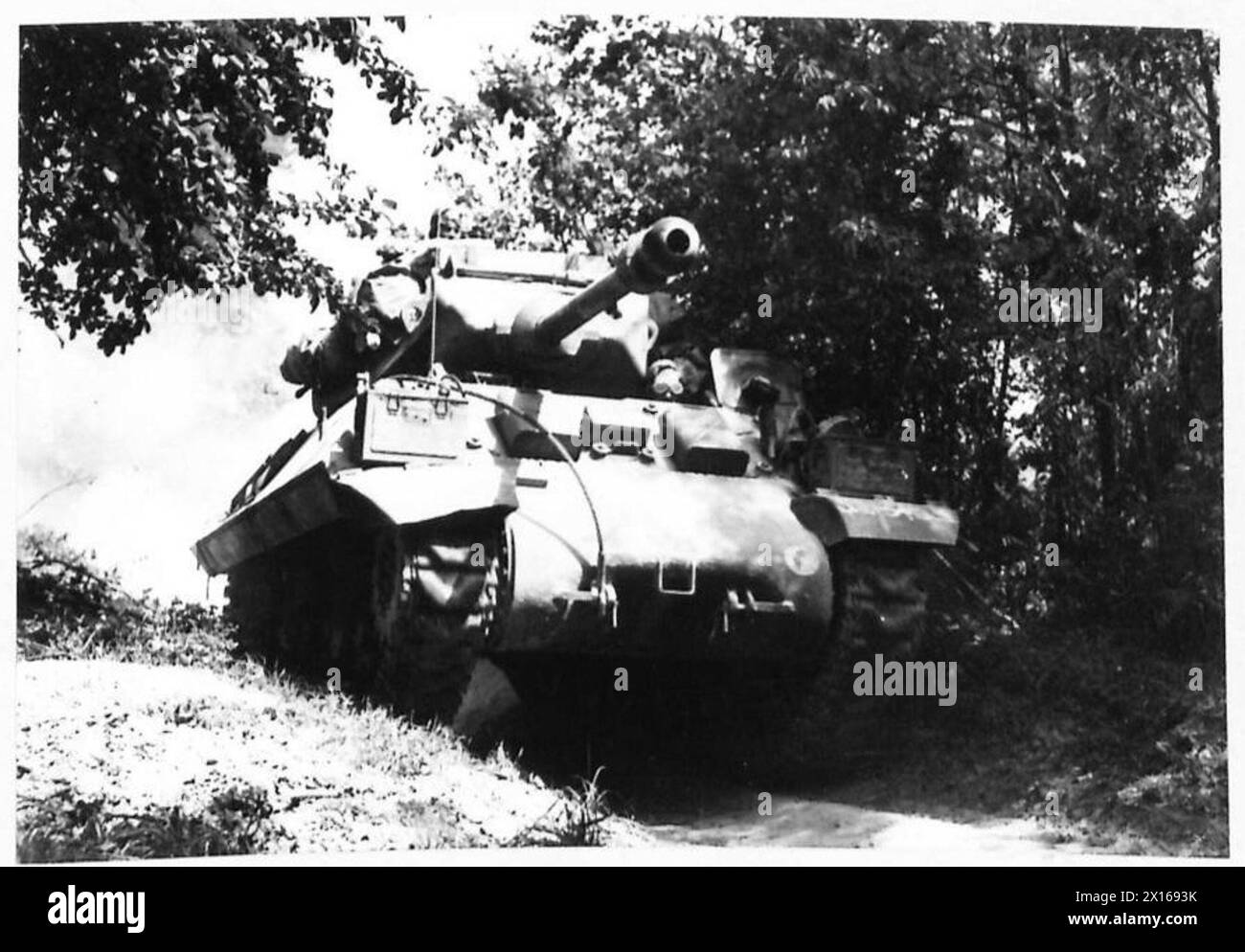 Durante la campagna alleata in Europa nord-occidentale dal 6 giugno 1944 al 7 maggio 1945, un cacciacarri Achilles avanzò attraverso un bosco a sud di Caumont, in Normandia. Foto Stock
