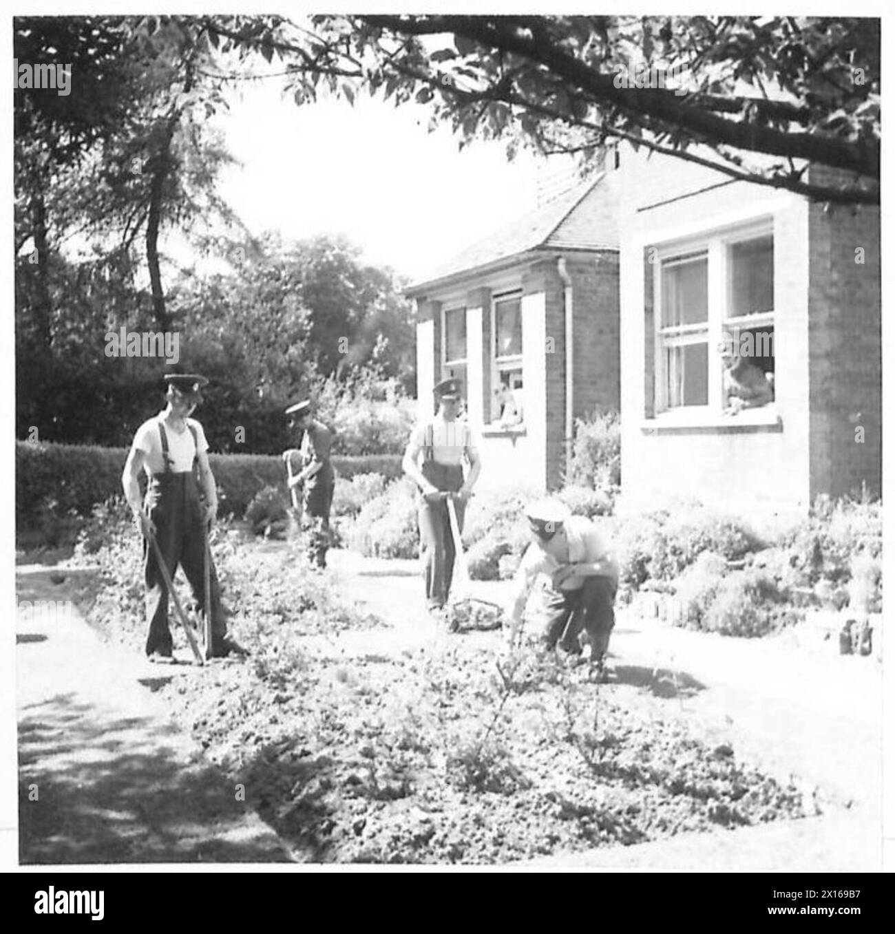 I poliziotti militari sono impegnati nel giardinaggio, lavorando tra i fiori come parte dei compiti dell'esercito britannico. Foto Stock