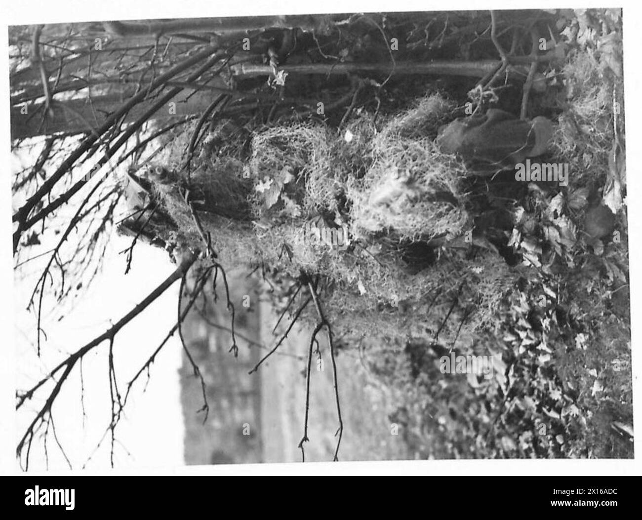 Panoramica delle operazioni e delle attività dell'esercito britannico in Gran Bretagna nel periodo 1939-1945. Foto Stock