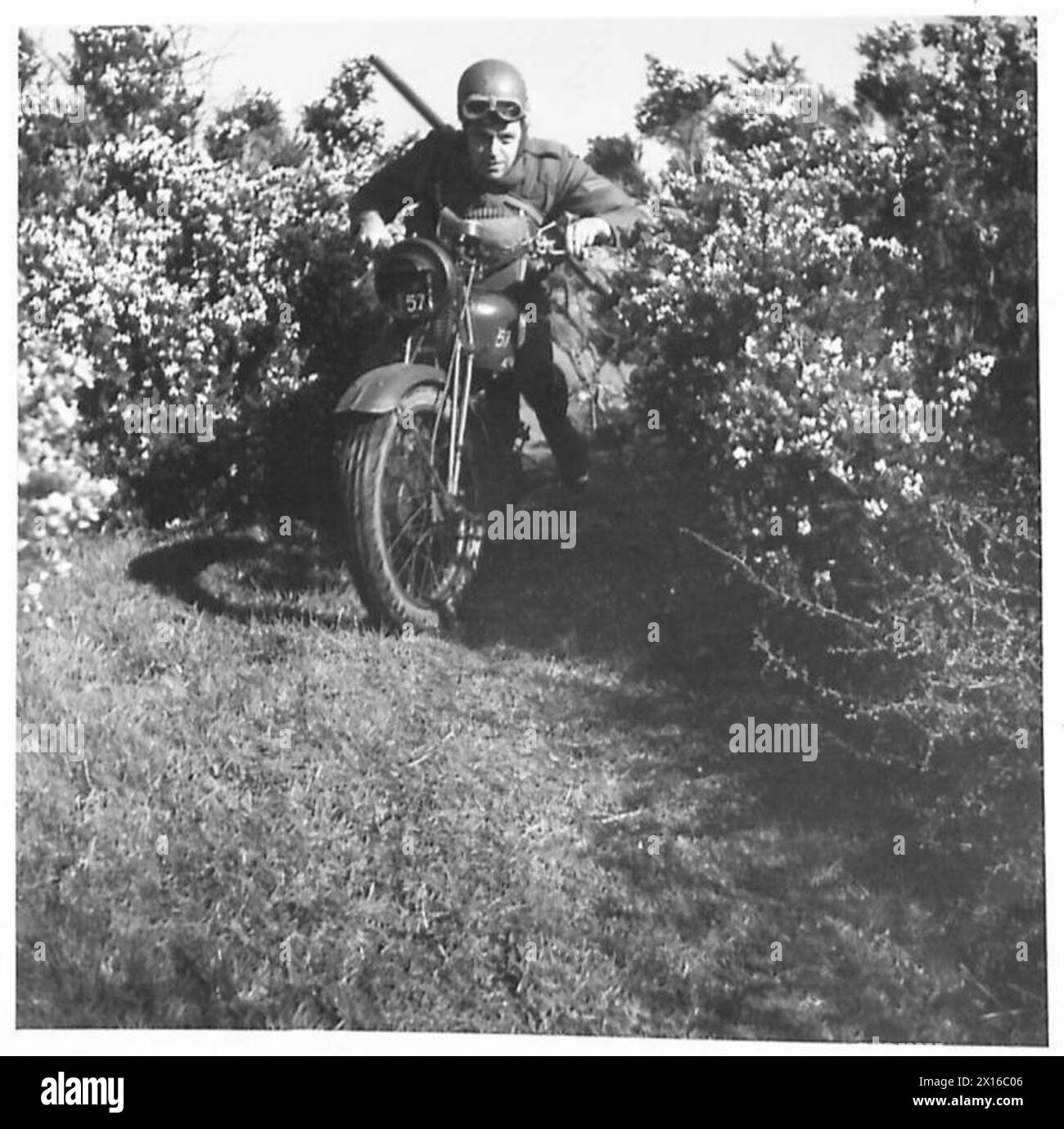Uno scout in avanti di un battaglione del personale del Nord si muove attraverso fitte cespugli di gorse durante le operazioni di ricognizione. La scena mostra l'osservazione tattica e l'attività sul campo dell'esercito. Foto Stock