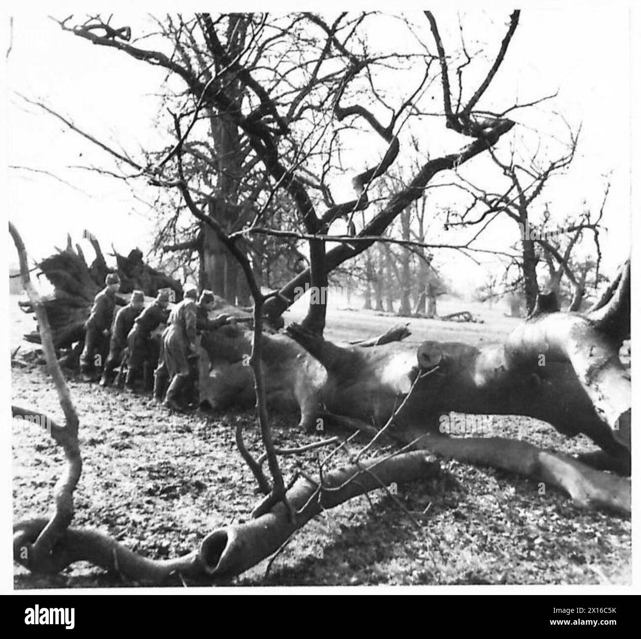 Una pattuglia di ricognizione dimostra di aver preso copertura, con un soldato che strizza in avanti dietro un albero caduto durante la visita di corrispondenti di guerra. Foto Stock