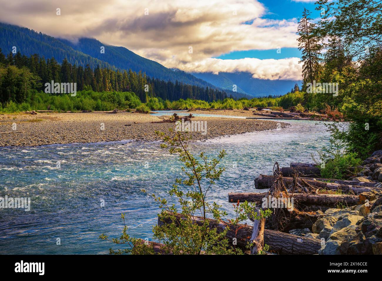 Il fiume Hoh scorre attraverso un letto roccioso nell'Olympic National Park, nello stato di Washington Foto Stock