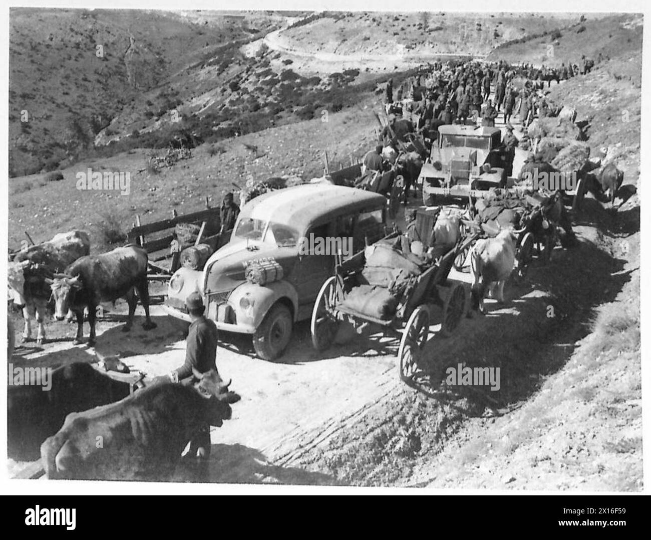Un veicolo dell'esercito britannico passa il trasporto greco su una strada di montagna in Grecia, con buoi utilizzati dalla gente del posto per viaggiare su terreni accidentati. Foto Stock