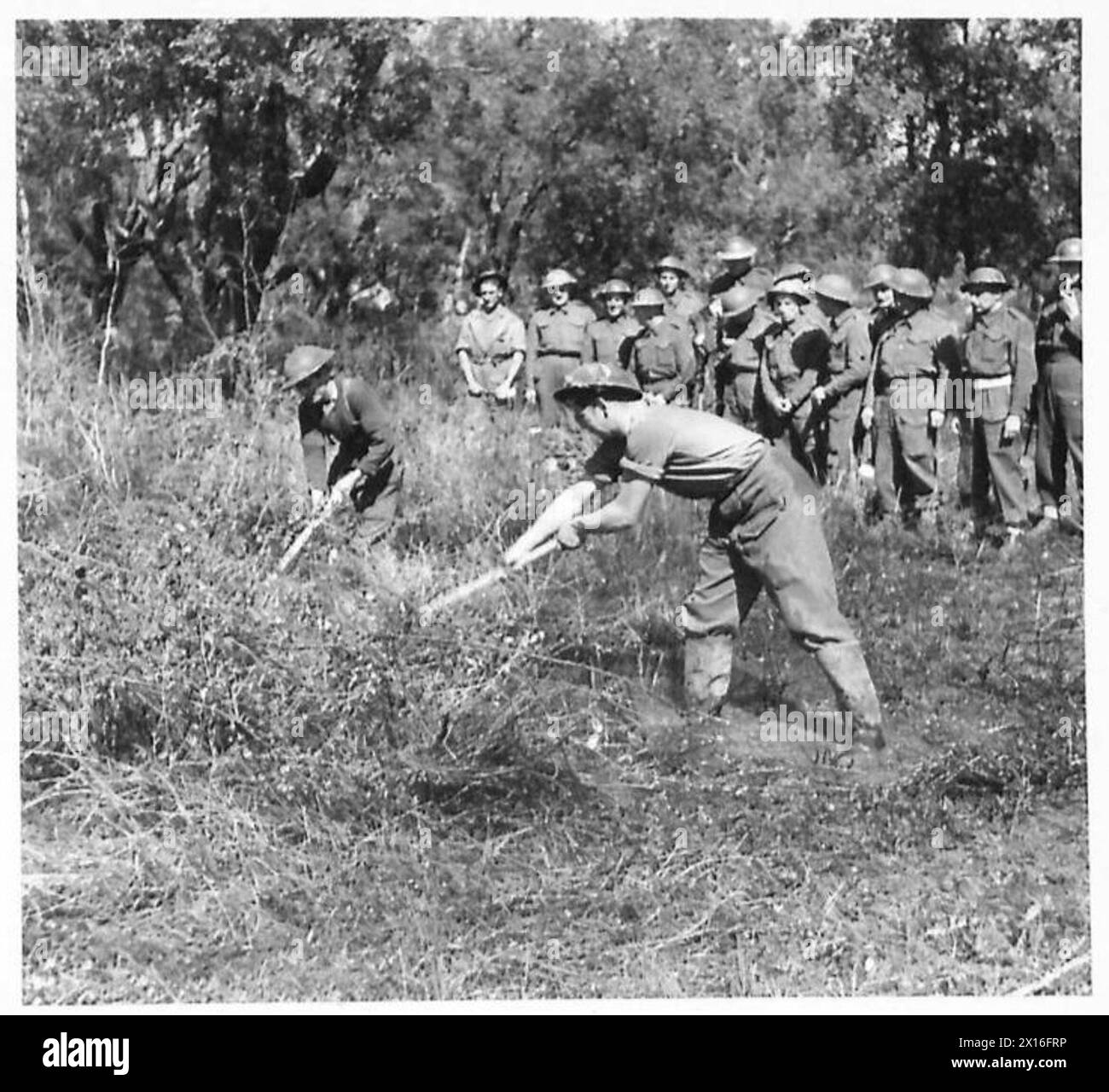 Gunner H. Cottrell dimostra di raddrizzare la vegetazione paludosa alla testa di ponte di Anzio per ridurre l'allevamento delle zanzare e prevenire la malaria, come parte dell'addestramento sanitario militare. Foto Stock