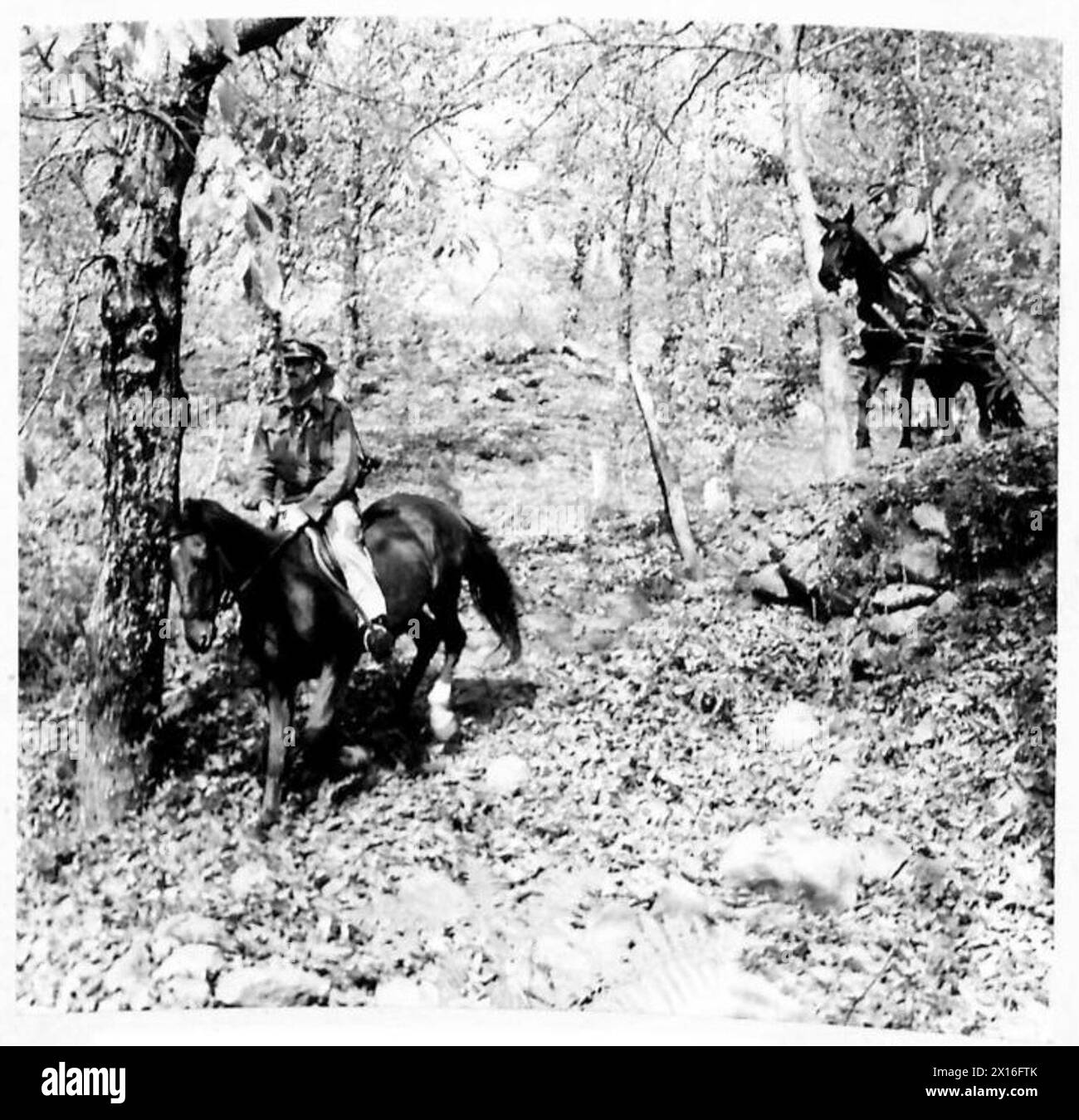 Il maggiore M. Lindsay guida una pattuglia a cavallo in Nord Africa, Sicilia, Italia, Balcani e Austria durante le operazioni dell'esercito britannico dal 1942 al 1946. Foto Stock