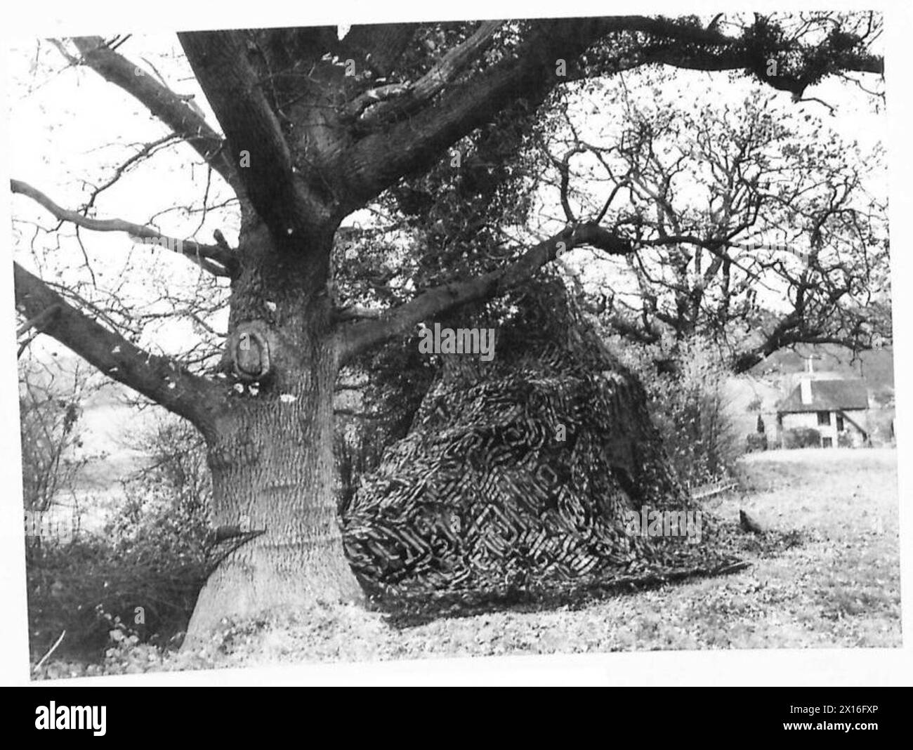 Negativo fotografico che raffigura le attività dell'esercito britannico in Gran Bretagna durante il 1939-1945. Foto Stock