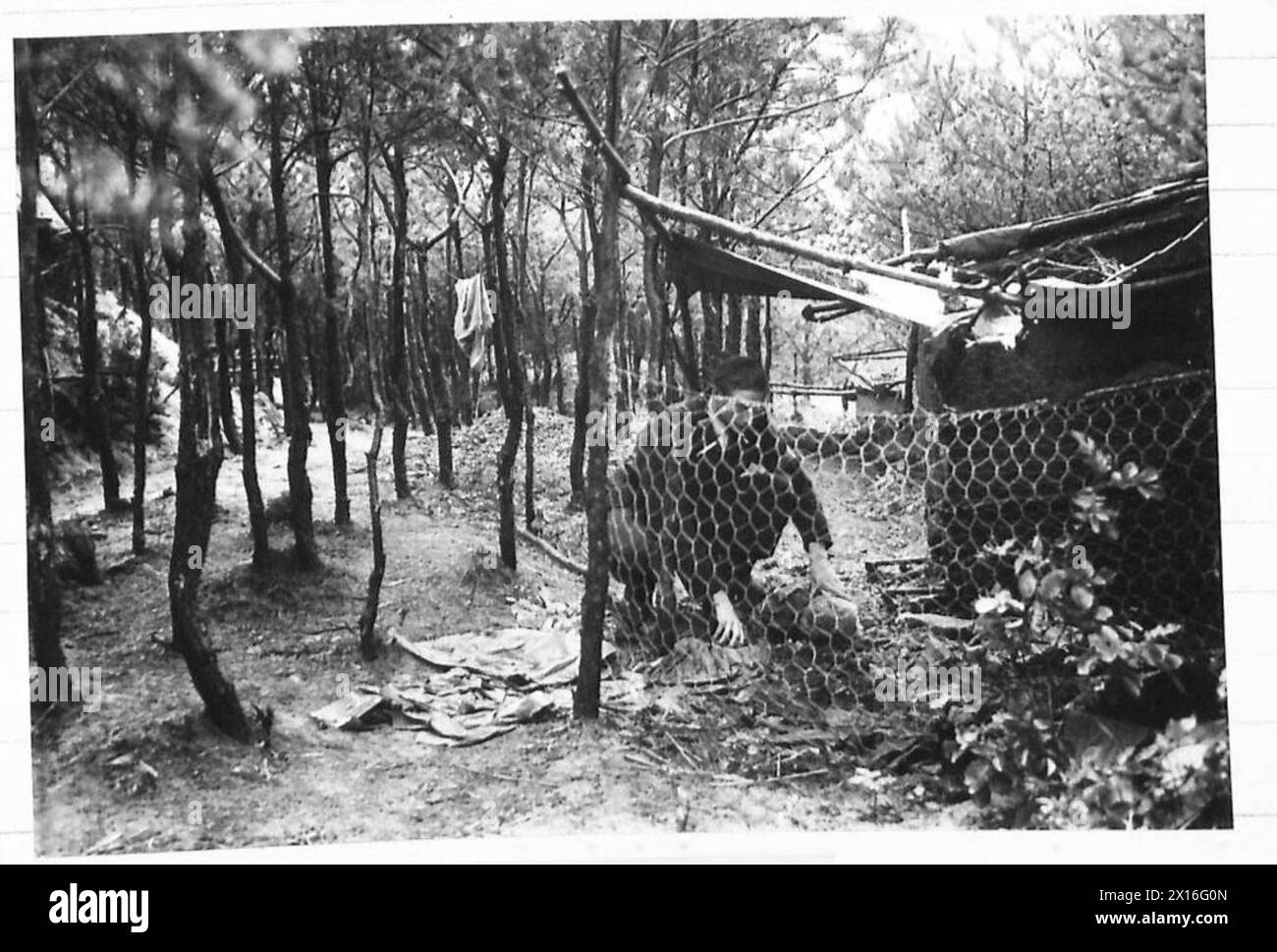 I negozi di verdure del campo gestiti dal movimento di resistenza olandese P.A.N. sotto la supervisione dell'esercito britannico, 21st Army Group. Foto Stock