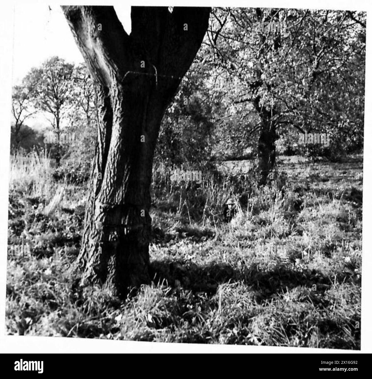 Attrezzature mimetiche preparate vicino a Kenley per il capitano G.V. Myer, GSO III, London District, a Leconfield House. Foto Stock