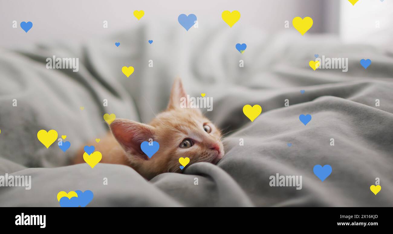Immagine delle icone del cuore sul gatto a letto Foto Stock