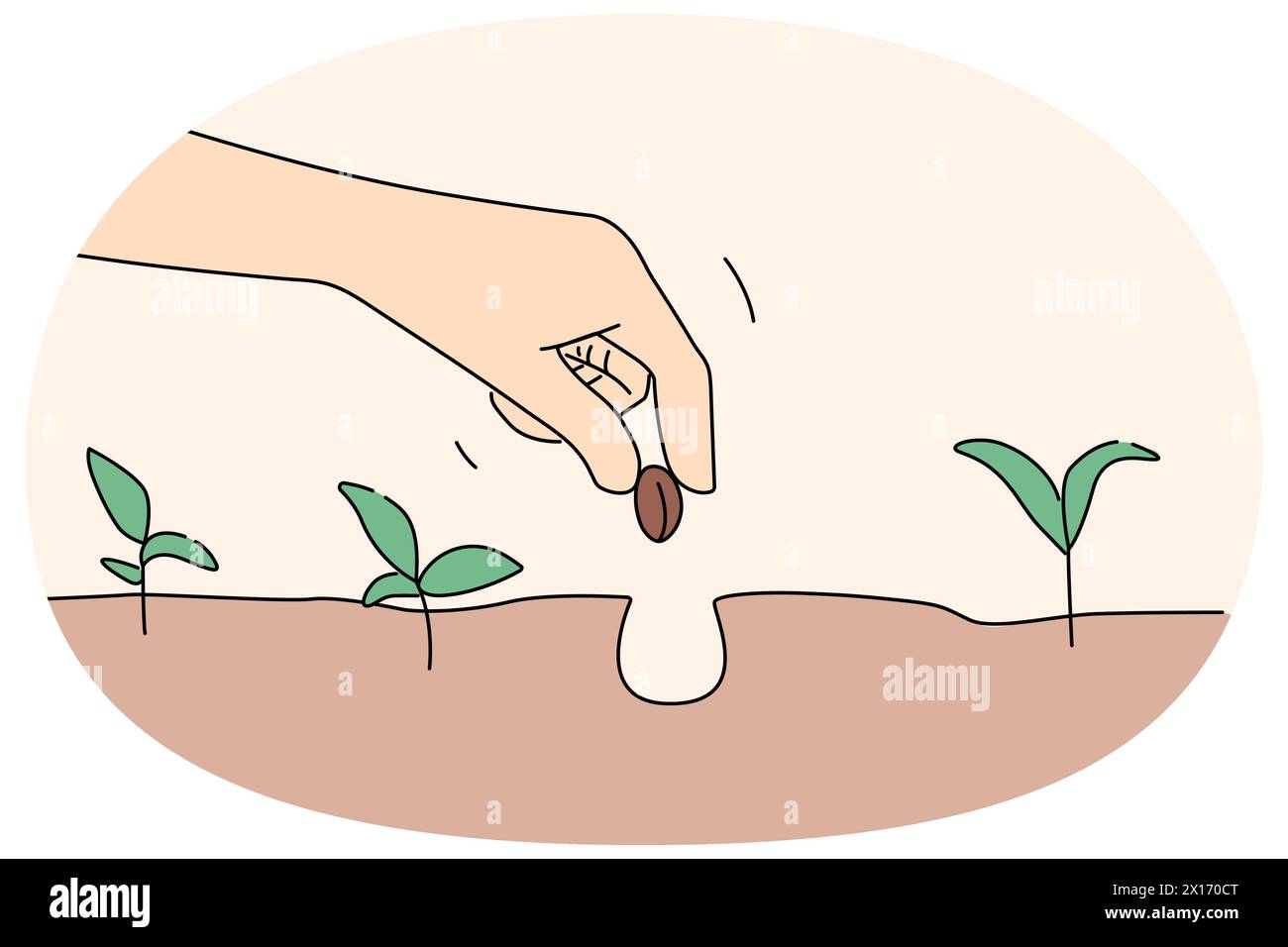 Primo piano di mano di persona ha messo seme in suolo. Coltivatore pianta dado in terra impegnato in giardinaggio. Agricoltura e agricoltura. Illustrazione vettoriale. Illustrazione Vettoriale