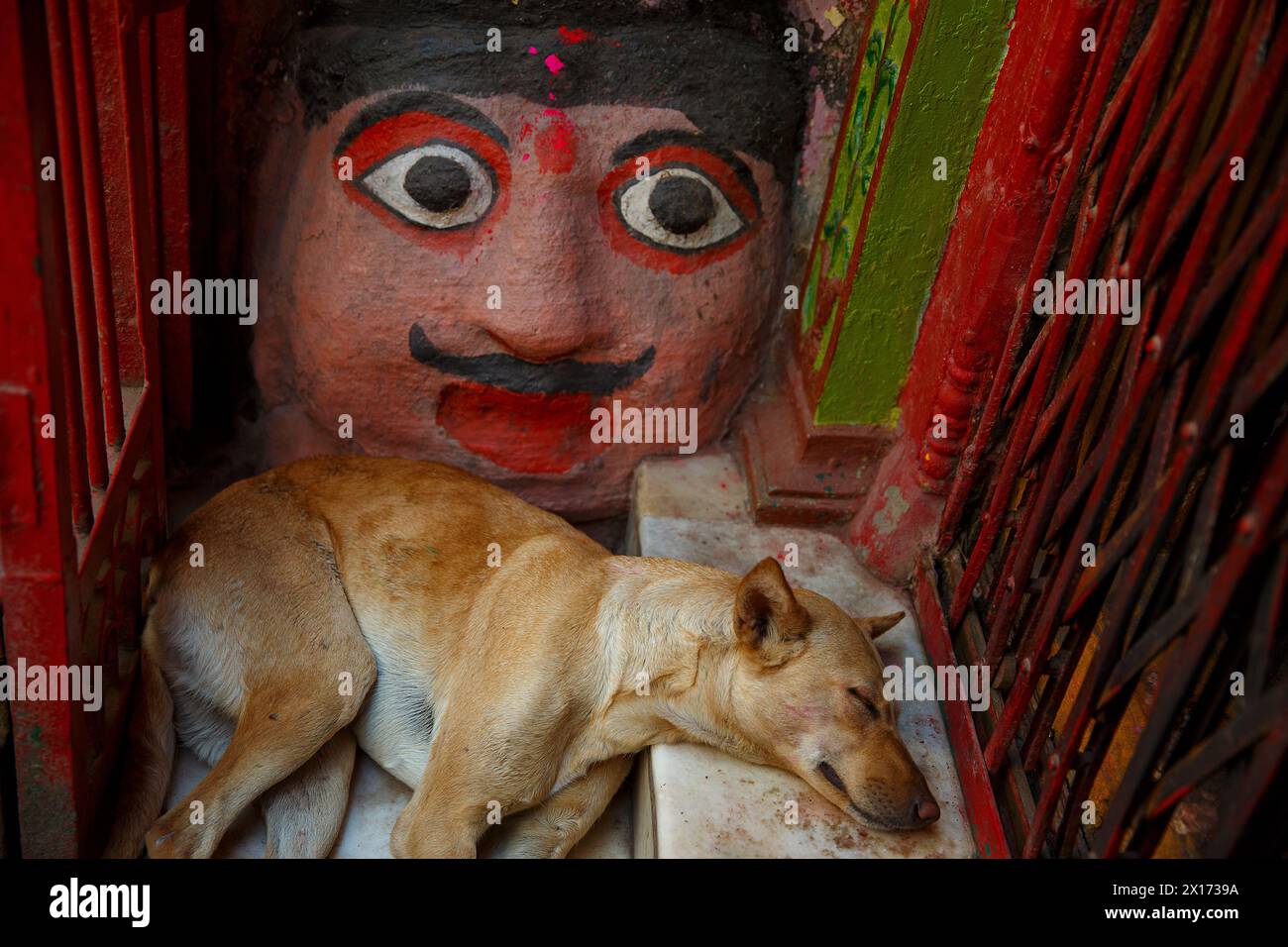 Cane che dorme davanti a una grande testa scolpita e dipinta a Varanasi, India. Foto Stock