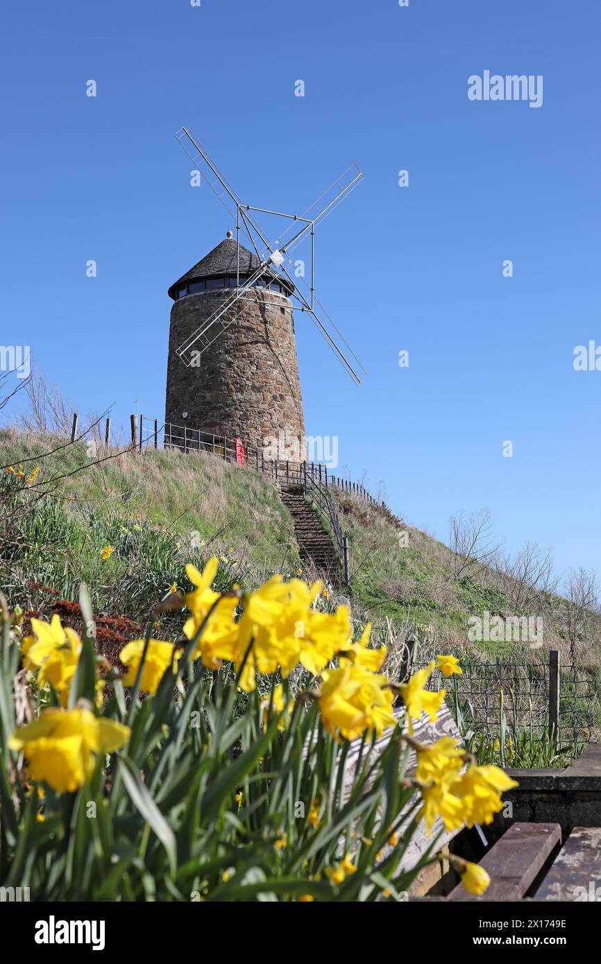Mulino a vento di St Monans, utilizzato per raccogliere acqua di mare in pentole evaporanti per produrre sale nel XVIII secolo, St Monans, East Coast of Scotland, Regno Unito Foto Stock