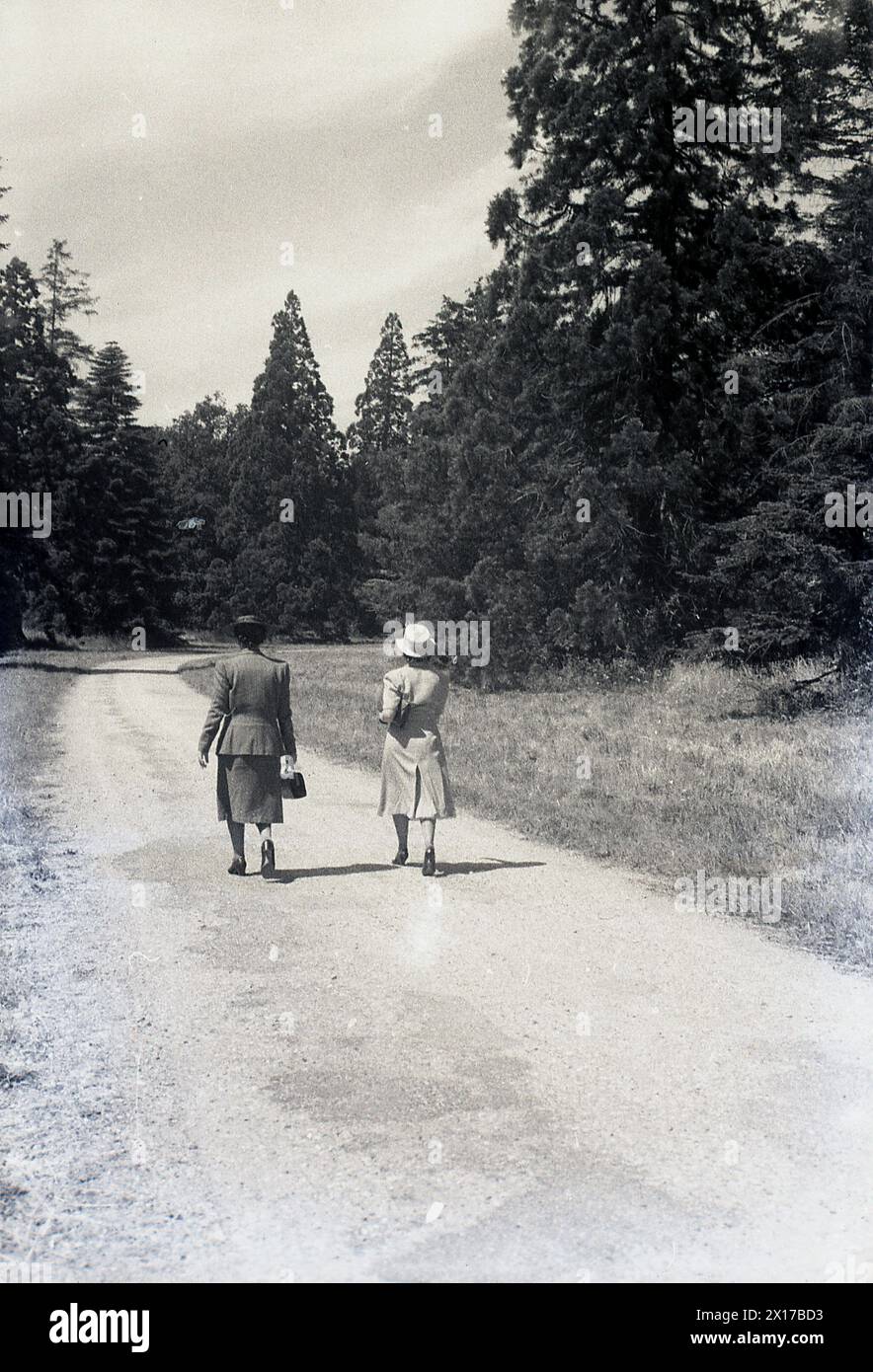 Anni '1950, due donne ben vestite che camminano all'aperto lungo un sentiero di ghiaia accanto a un bosco, Inghilterra, Regno Unito. Foto Stock