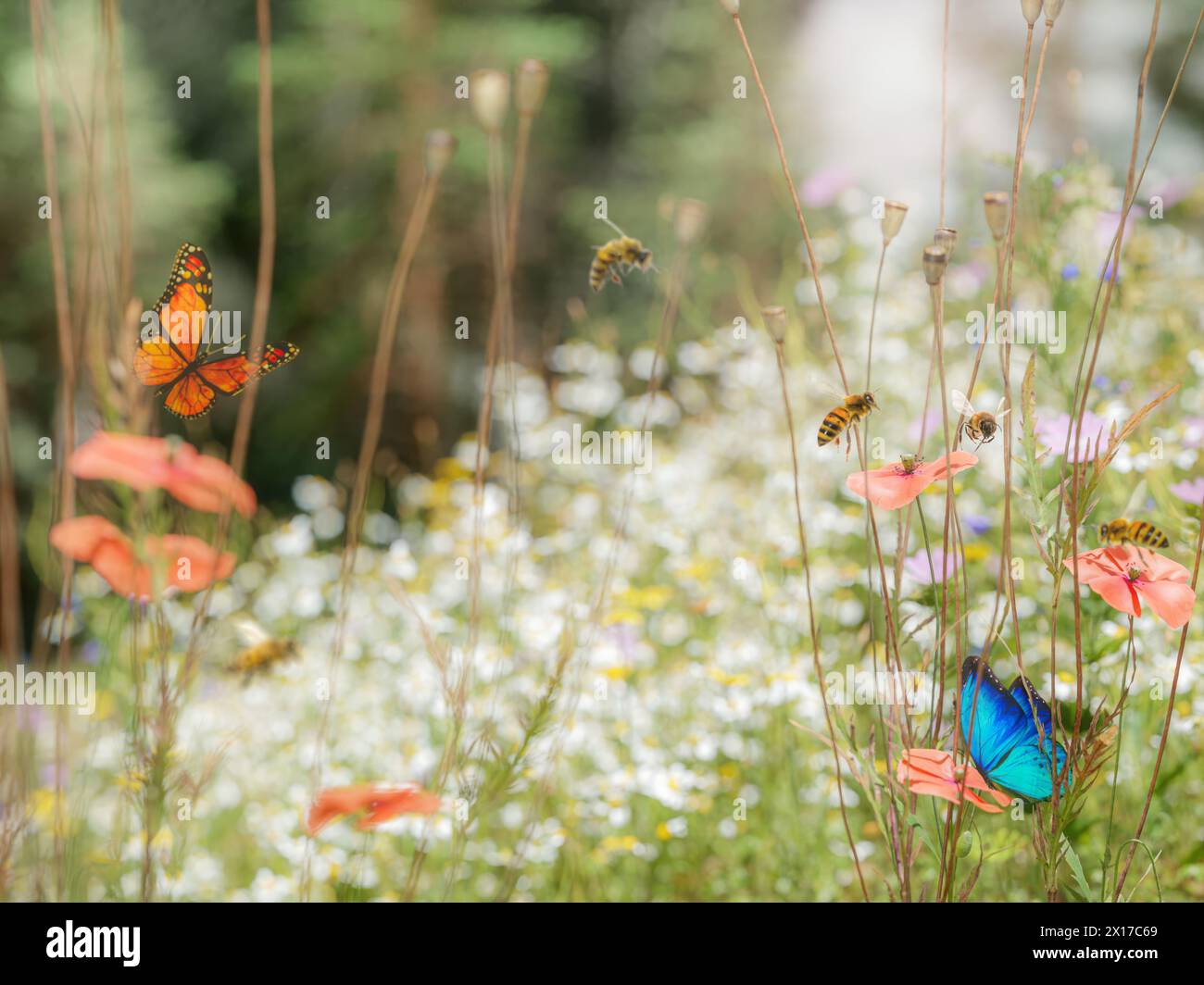 Splendido prato di lussureggianti fiori selvatici che attrae api e farfalle Foto Stock