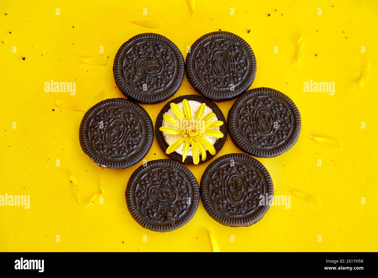foto creativa di biscotti con gocce di cioccolato ripieni di panna su sfondo giallo con un biscotto aperto al centro con un fiore giallo Foto Stock