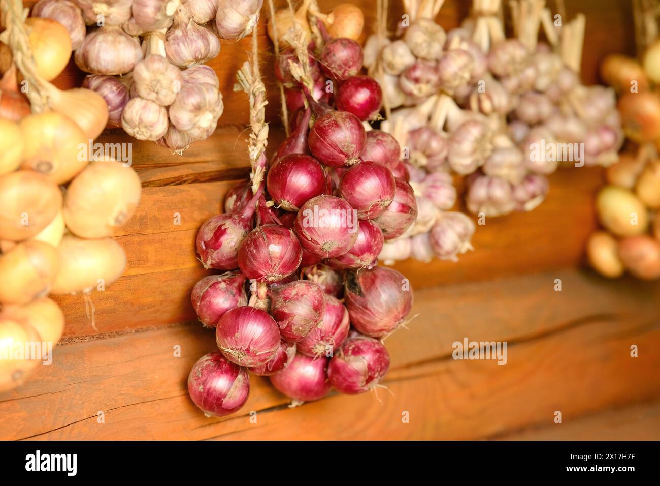 Cipolla e aglio raccolti appesi in fasci su pareti di legno. Asciugatura della cipolla e dell'aglio. Messa a fuoco selettiva. Foto Stock