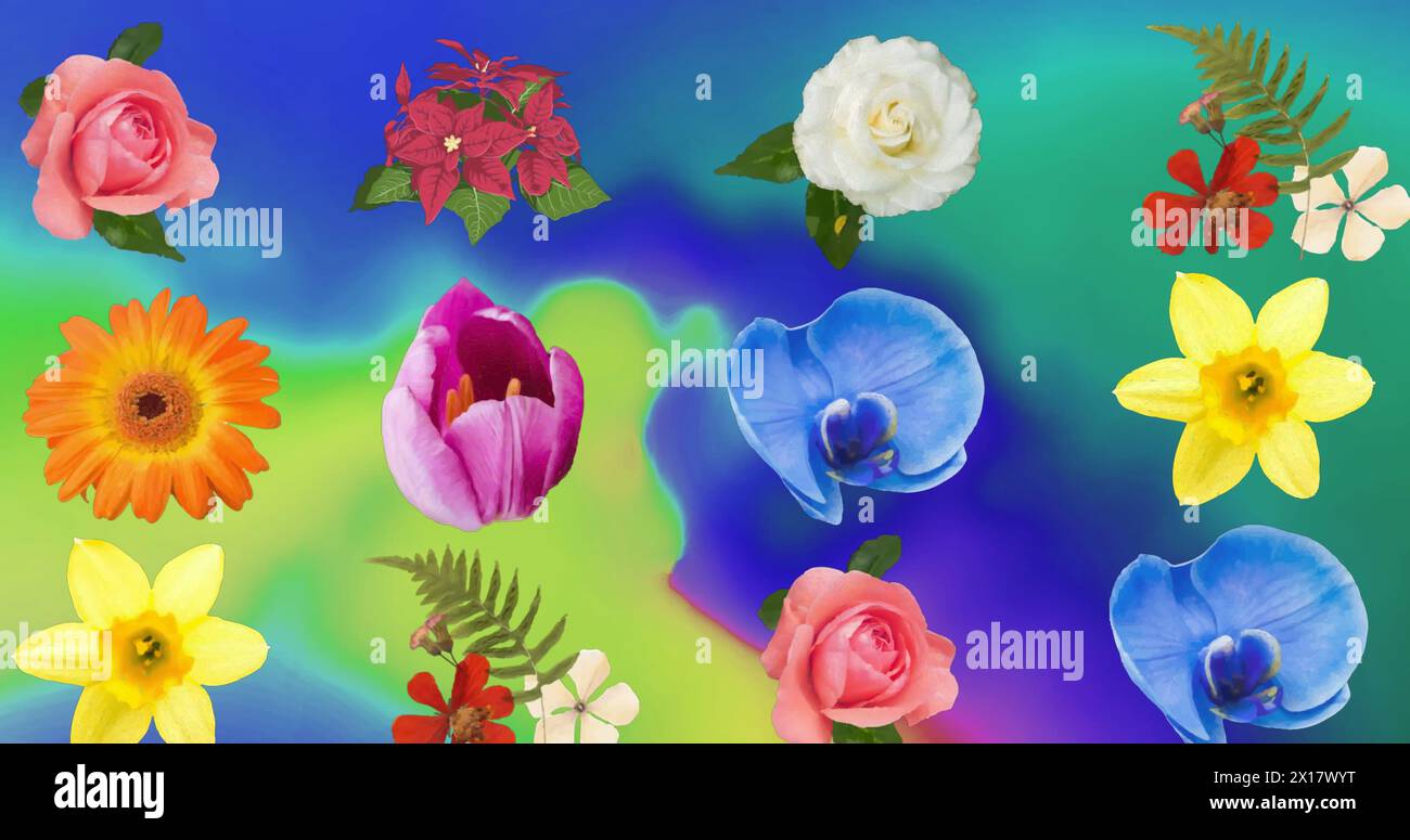 Immagine di fiori su sfondo verde, blu e giallo Foto Stock