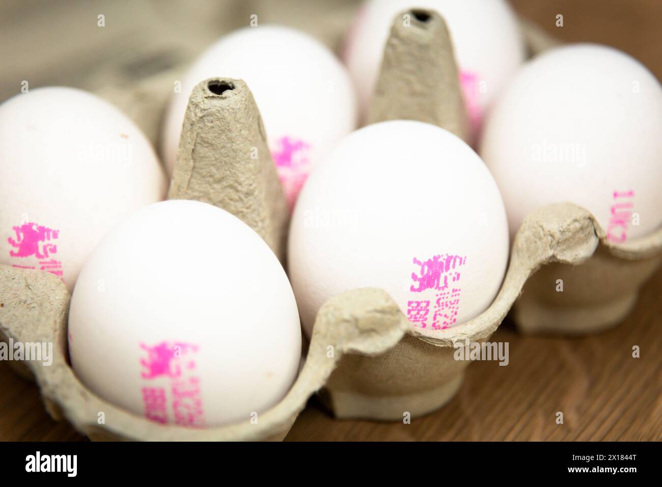 Cartone di sei uova di gallina bianche Foto Stock