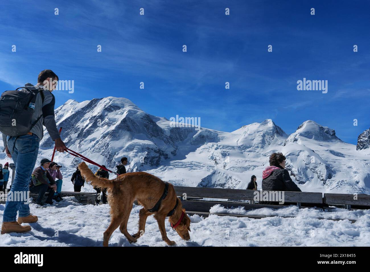 Visitatori a Gornergrat nelle Alpi Pennine, Swizerland Foto Stock