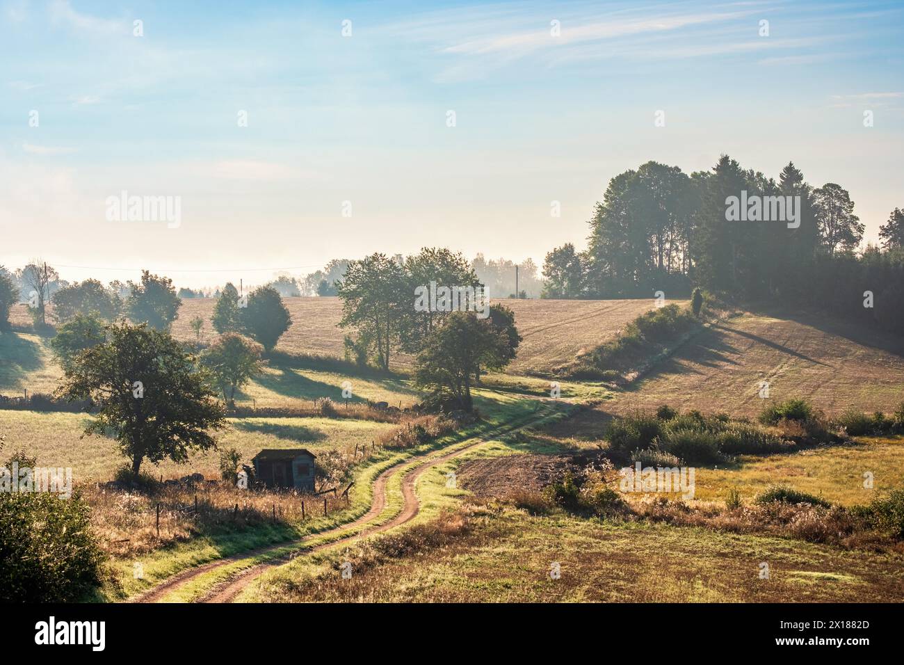 Tortuosa strada sterrata in un paesaggio di campagna ondulato con campi e prati a fine estate Foto Stock
