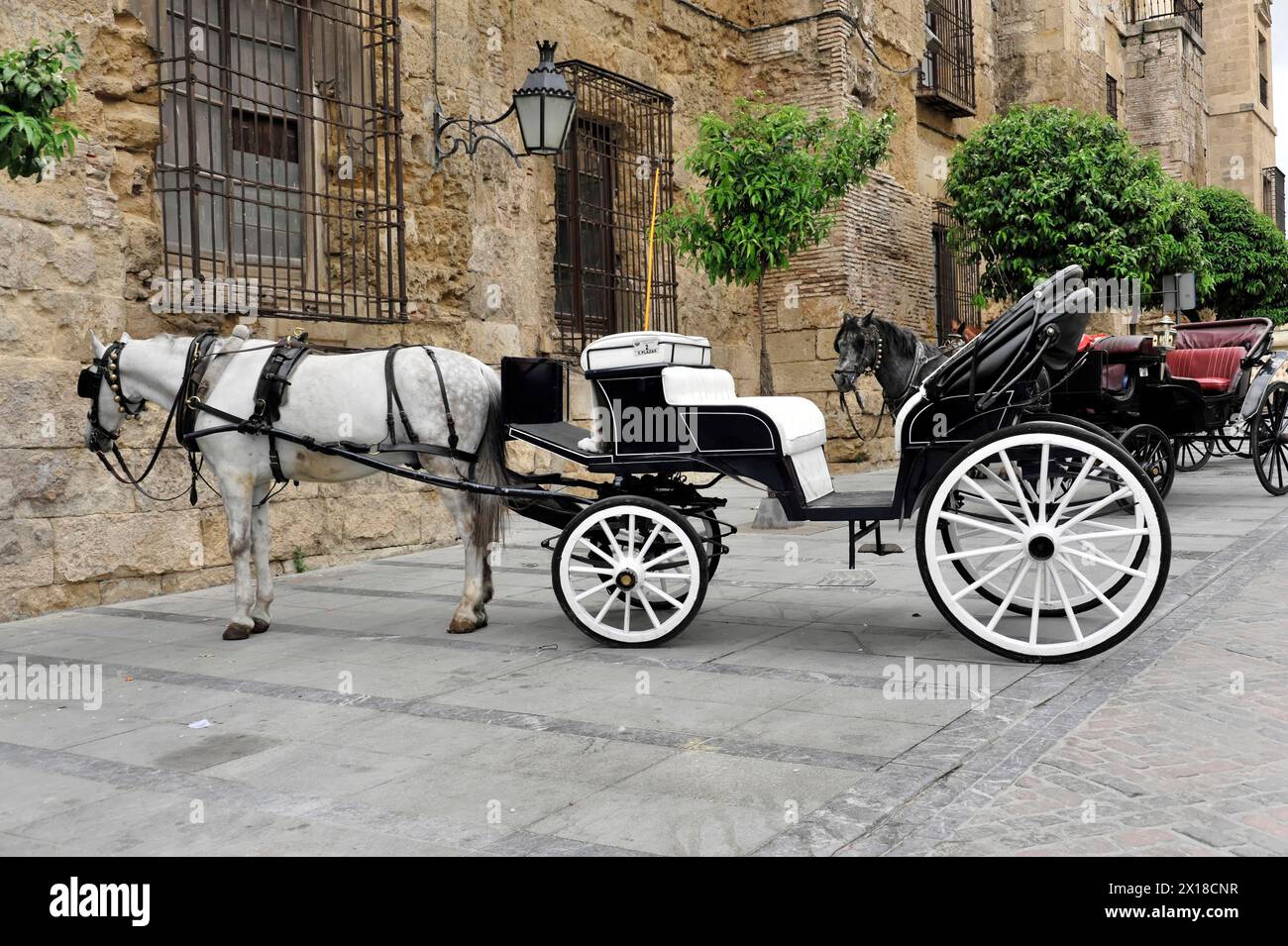Carrozza trainata da cavalli, Plaza de Espana, Siviglia, carrozza trainata da cavalli tradizionale in attesa di passeggeri, Andalusia, Siviglia, Spagna Foto Stock