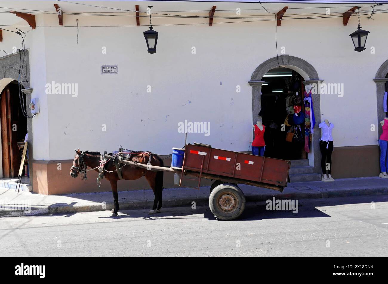 Leon, Nicaragua, tradizionale carrozza trainata da cavalli in attesa di passeggeri in una strada tranquilla, America centrale, America centrale Foto Stock