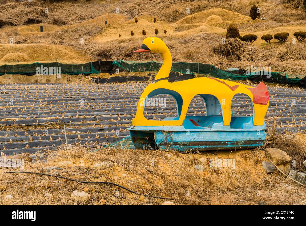 Barca di anatra gialla e blu abbandonata sulla terraferma accanto al campo con tumuli ricoperti di erba marrone sullo sfondo in Corea del Sud Foto Stock