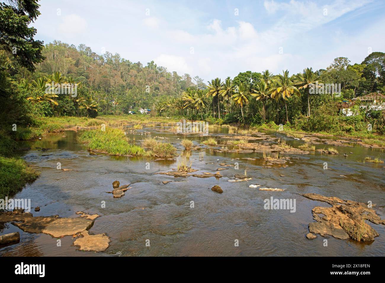 Fiume Periyar, Thekkady, Kerala, India Foto Stock