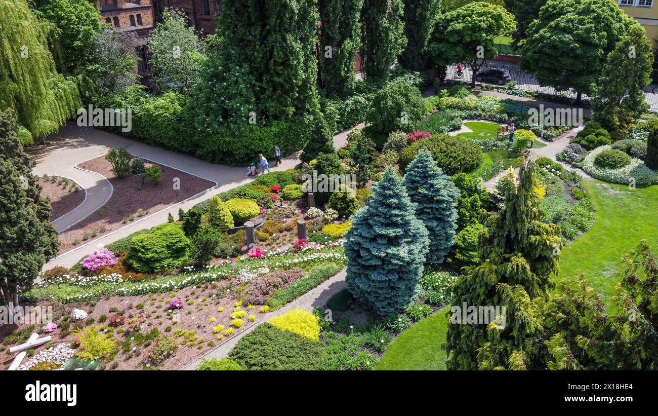 Incredibile punto di vista sul giardino botanico di Wroclaw con aiuole e sentieri del giardino: Aiuole di fiore e abeti del Colorado (abete bianco) e. Foto Stock