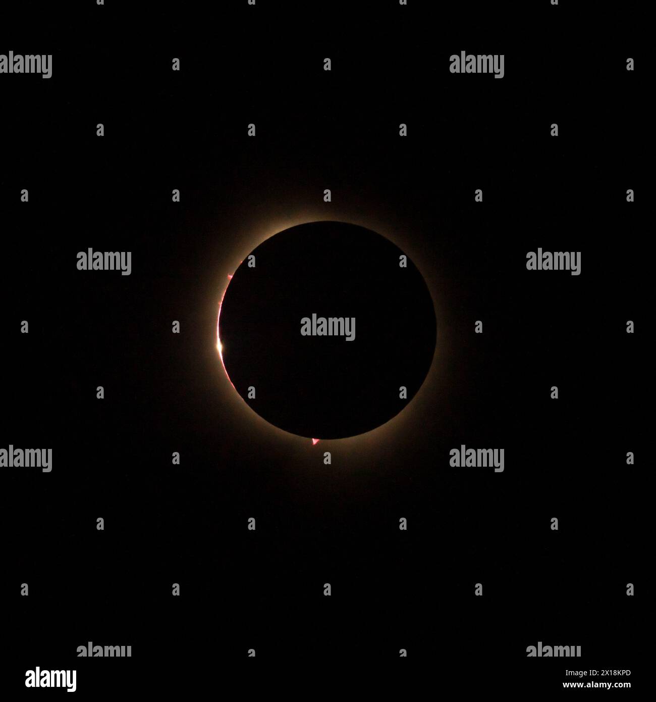 Immagine HD dell'eclissi solare nel 2024 con la luna che finalmente copre il sole. Le perle di luce di Baily viste attraverso i canyon sulla luna Foto Stock