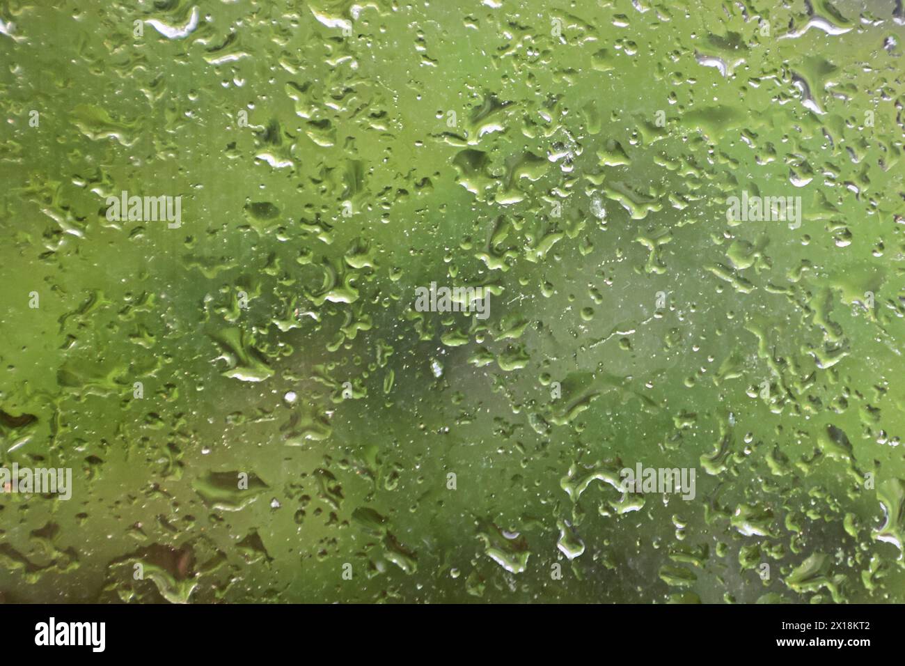Trübes Regenwetter Regentropfen auf einer Fensterscheibe bei Regenfällen **** piogge nuvolose gocce di pioggia su una finestra durante le precipitazioni Foto Stock