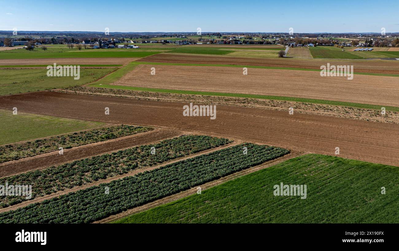 Questo scatto ad angolo alto cattura un vasto arazzo di terreni agricoli, con sezioni di terreno ricco pronto per la piantagione e altri lussureggianti con raccolti. Ideale per l'agricoltura e la gestione del territorio. Foto Stock