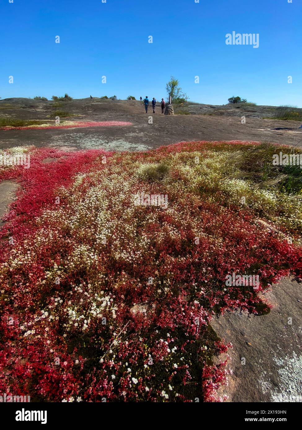 Sentiero di montagna dell'Arabia Foto Stock