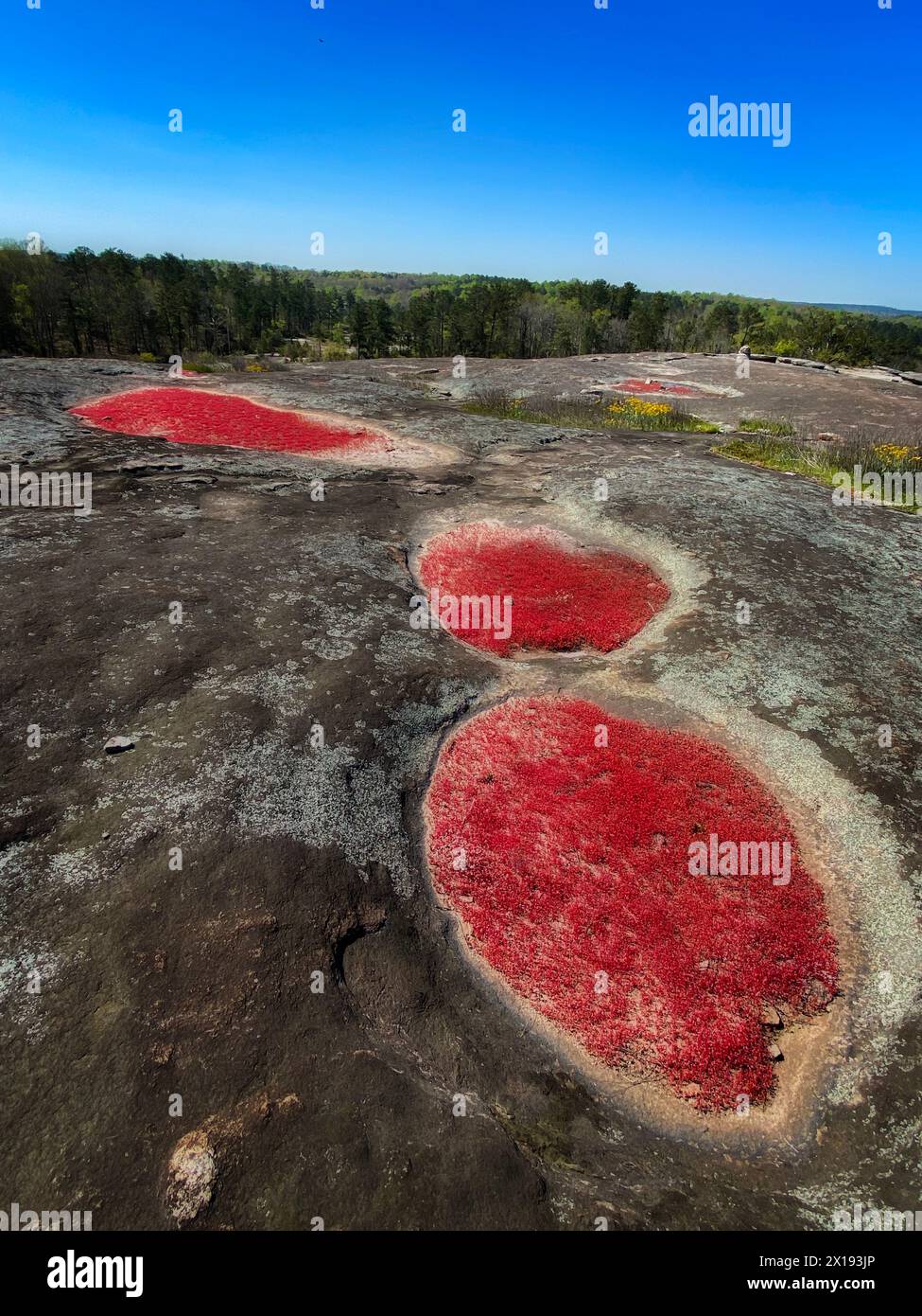 Montagna dell'Arabia Foto Stock