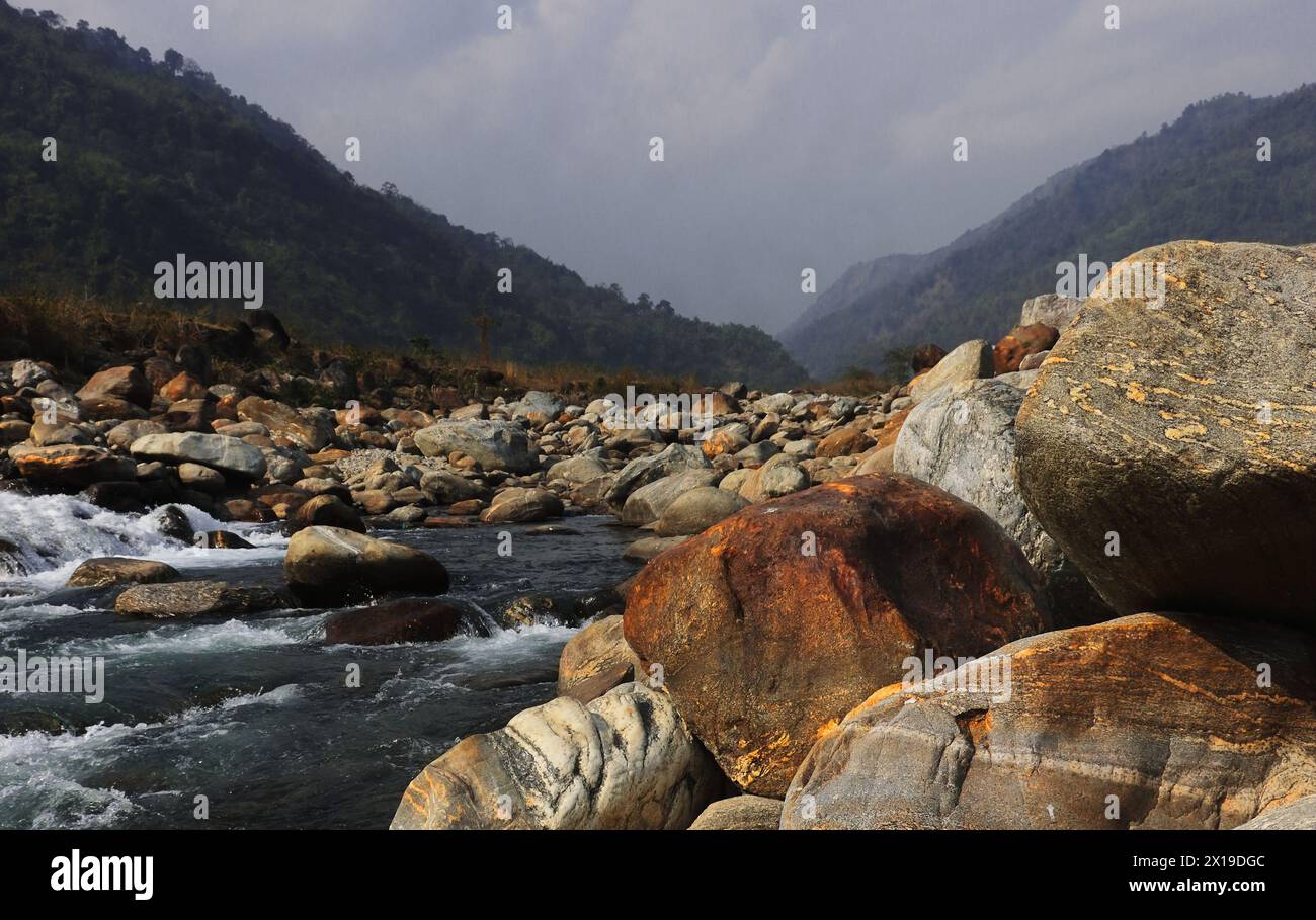 regione terai-dooars del bengala occidentale a dudhia. bellissimo ruscello di montagna (fiume balason) che scorre attraverso la valle, l'area delle colline pedemontane dell'himalaya in india Foto Stock